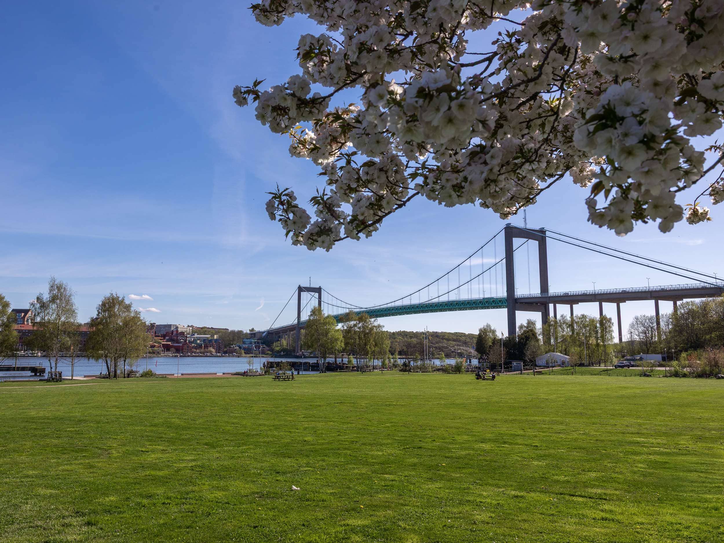 Riverfront Views