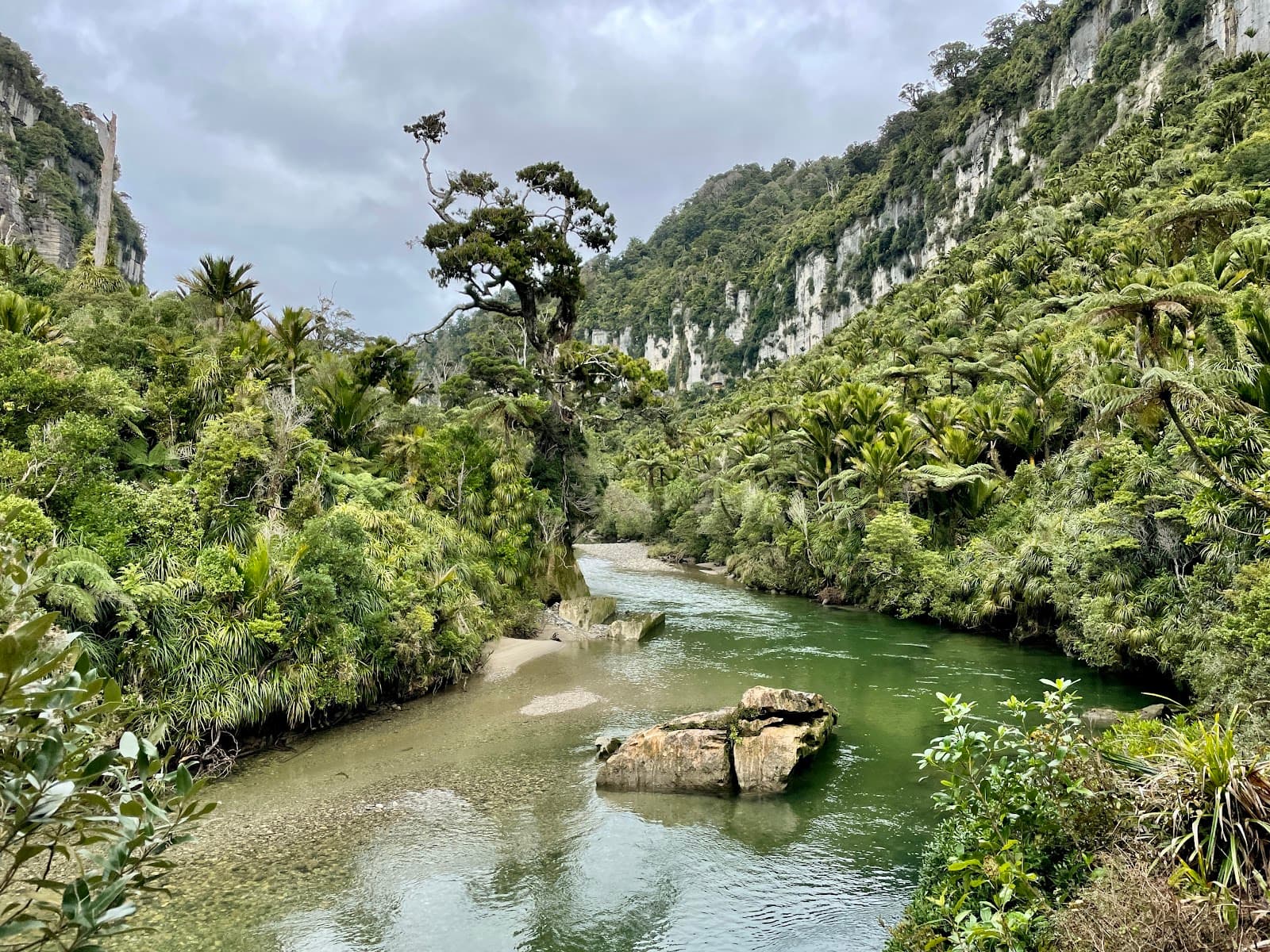 Pororari River Track - Image 1