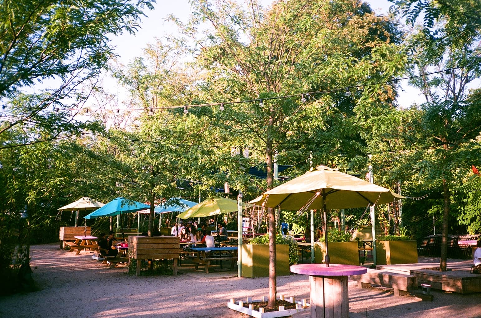 Mister Sunday Events