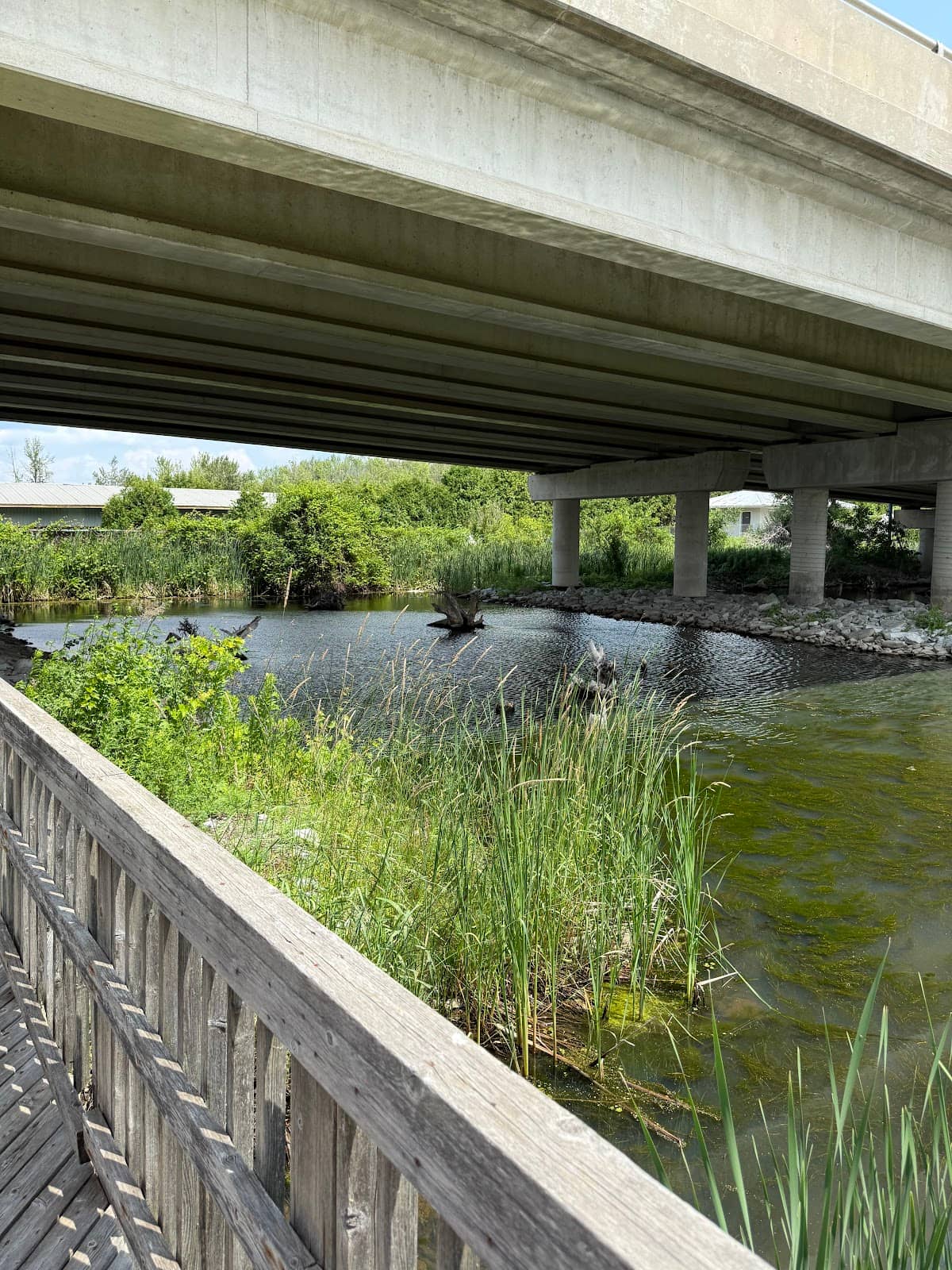 Tranquil Waterside Spot