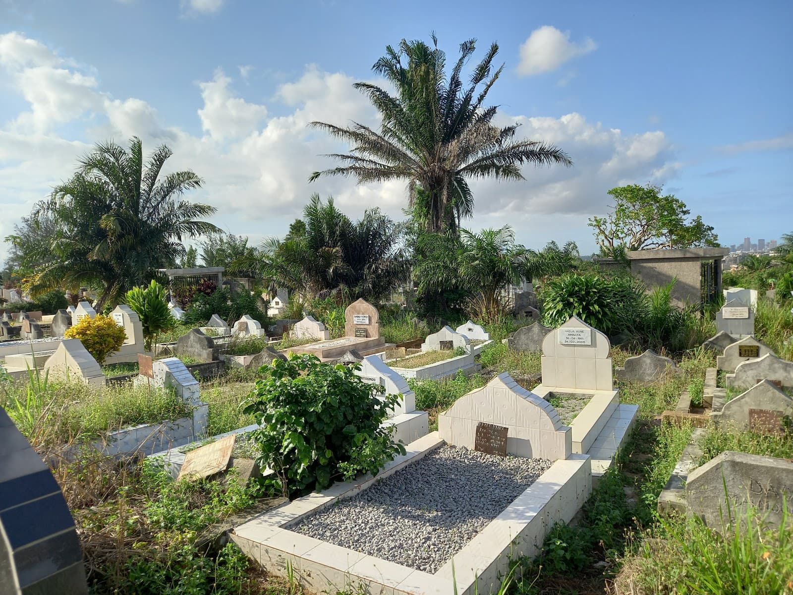 Williamsville Cemetery - Image 1
