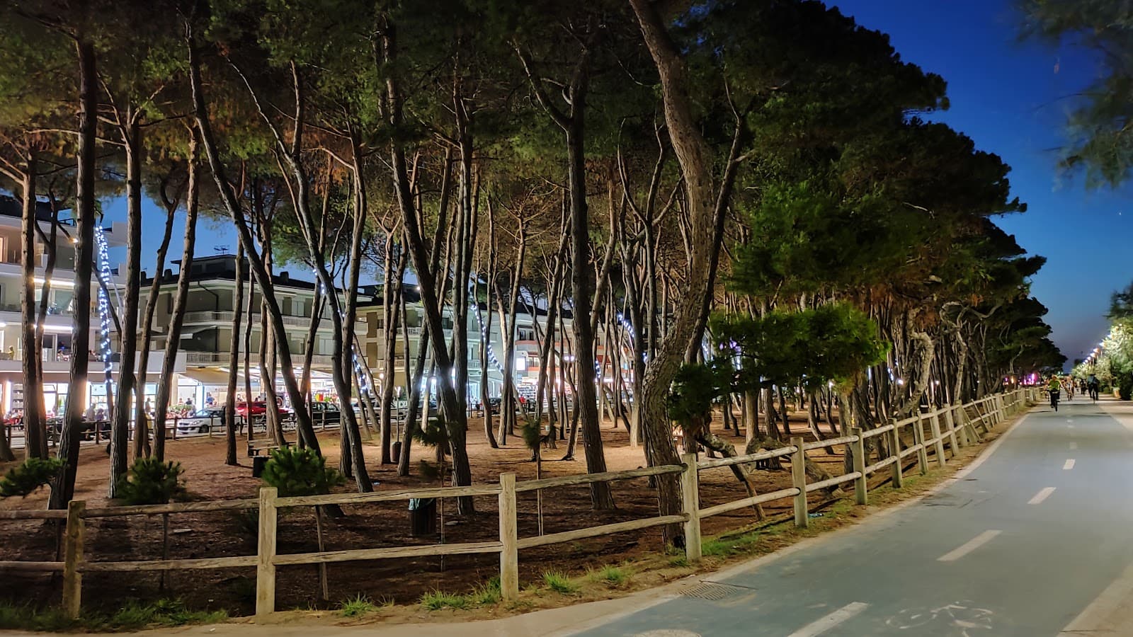 Pineta del Lungomare (seafront pine park) - Image 1