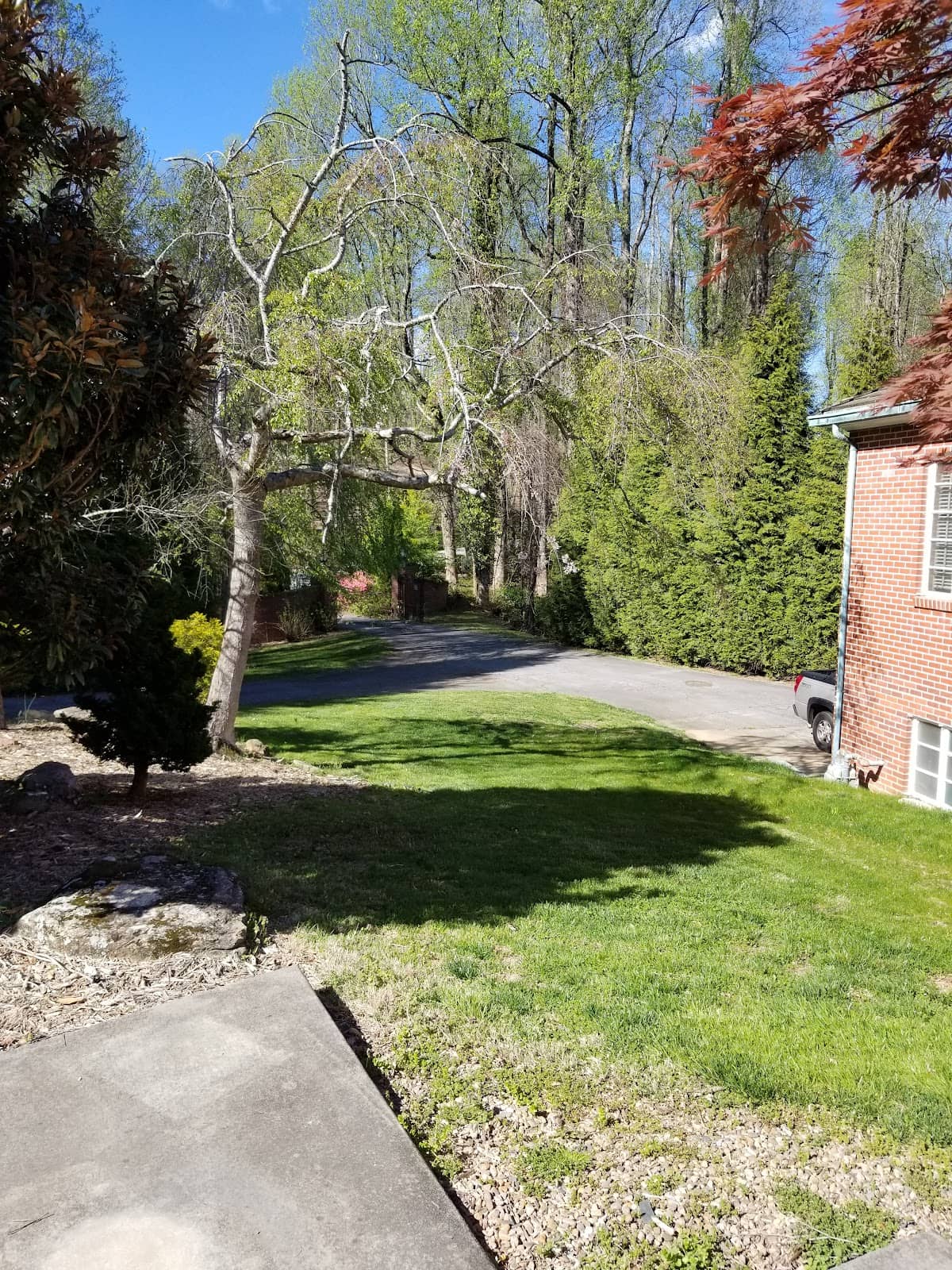 Simulcast Wagering Area