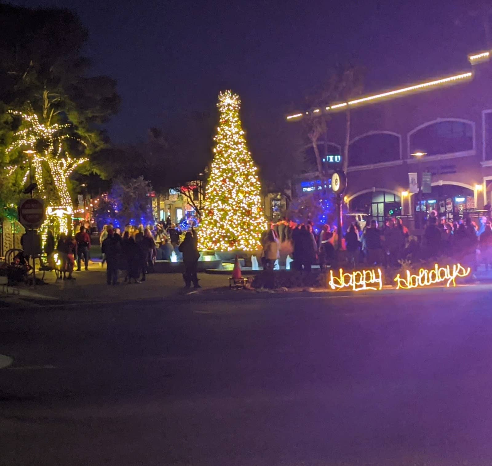 Holiday Light Displays