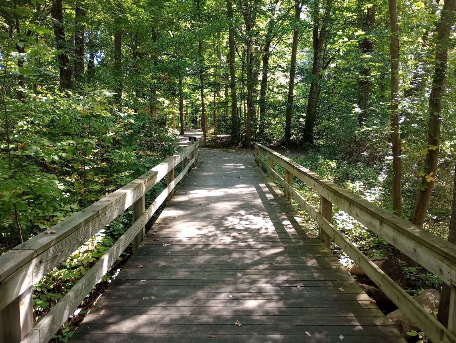 Chippewa River Water Trail - Image 1