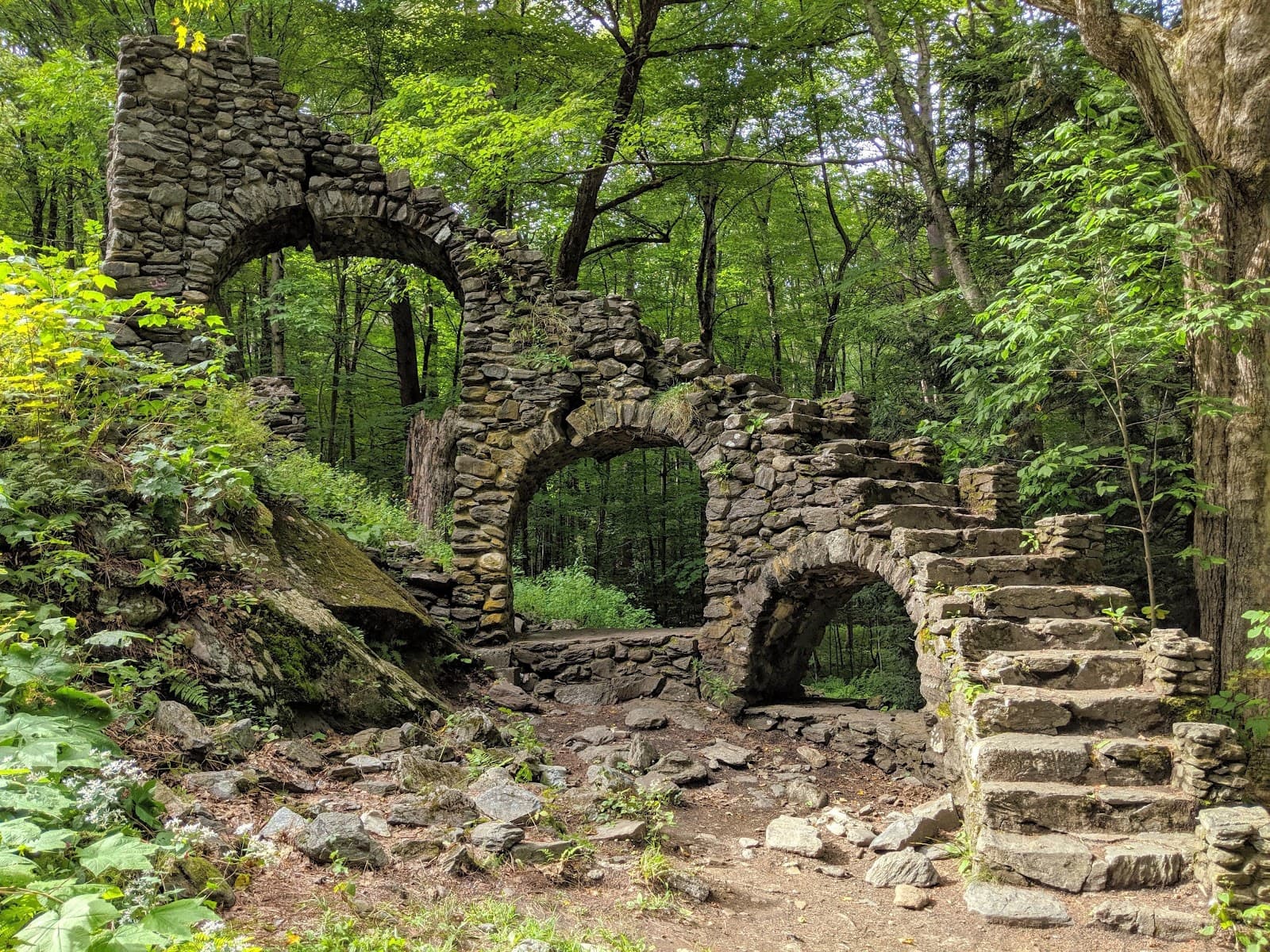 Madame Sherri Forest - Image 1