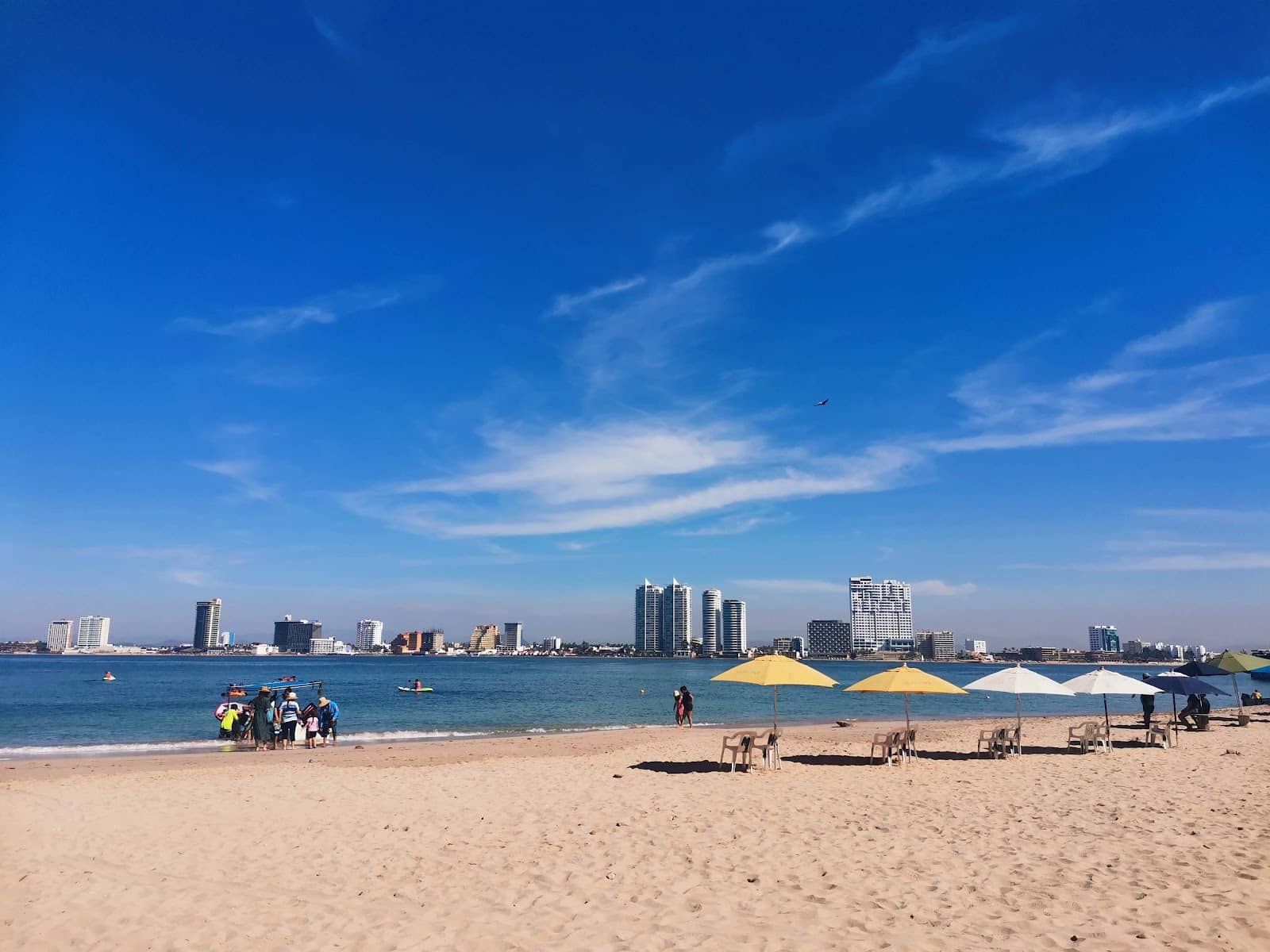 Abundant Marine Life