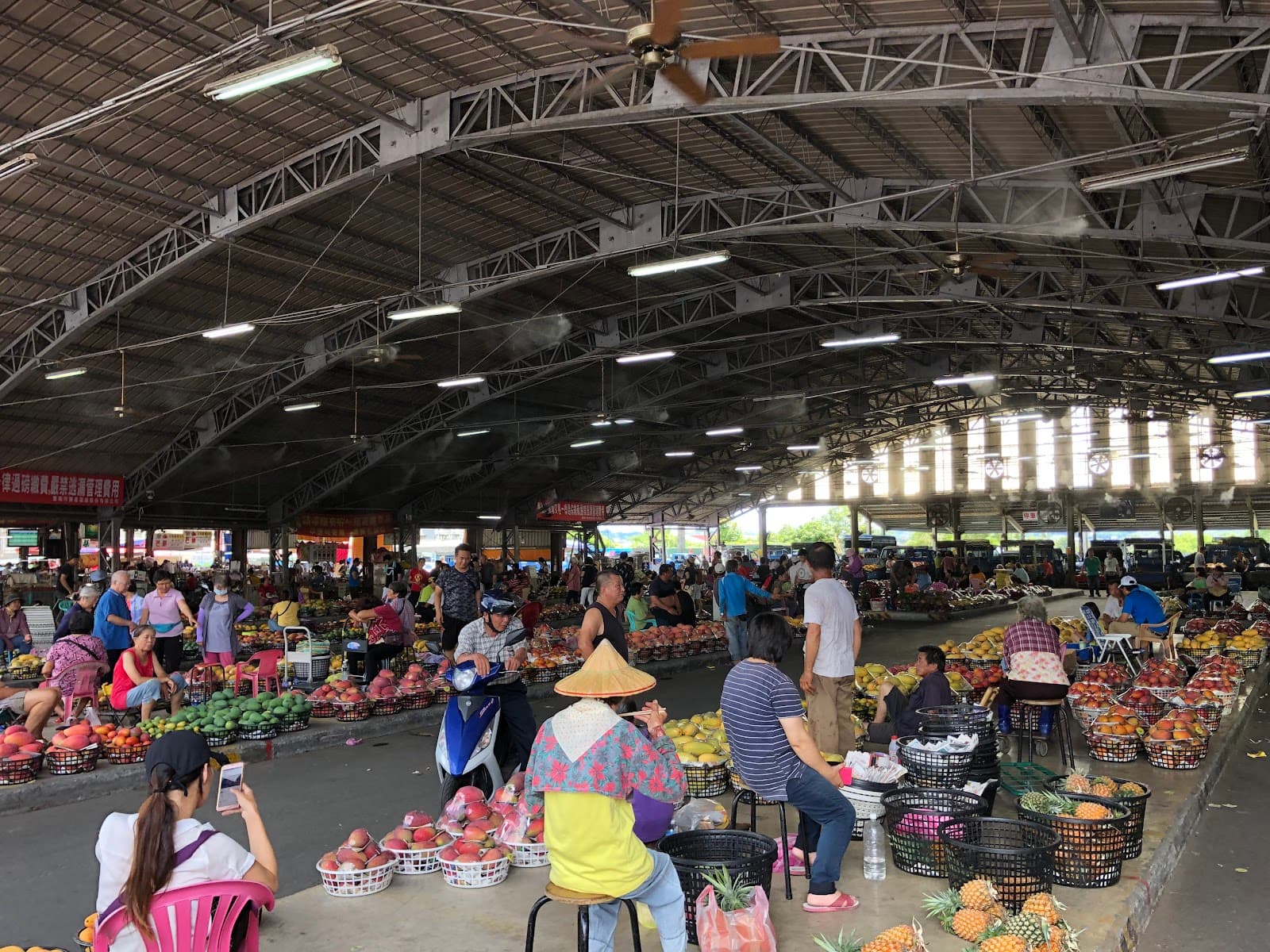 Yujing Mango Market Tainan - Image 1