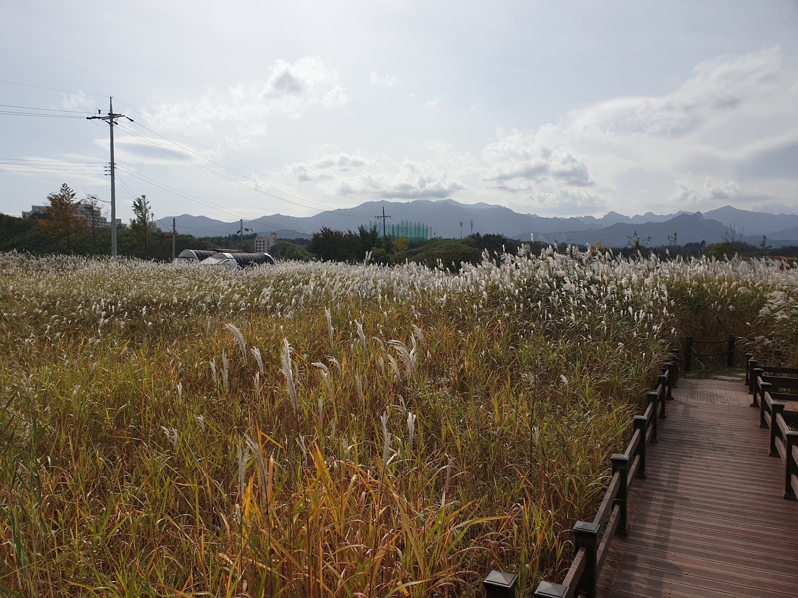 Yeongnangho Wetland Park - Image 1
