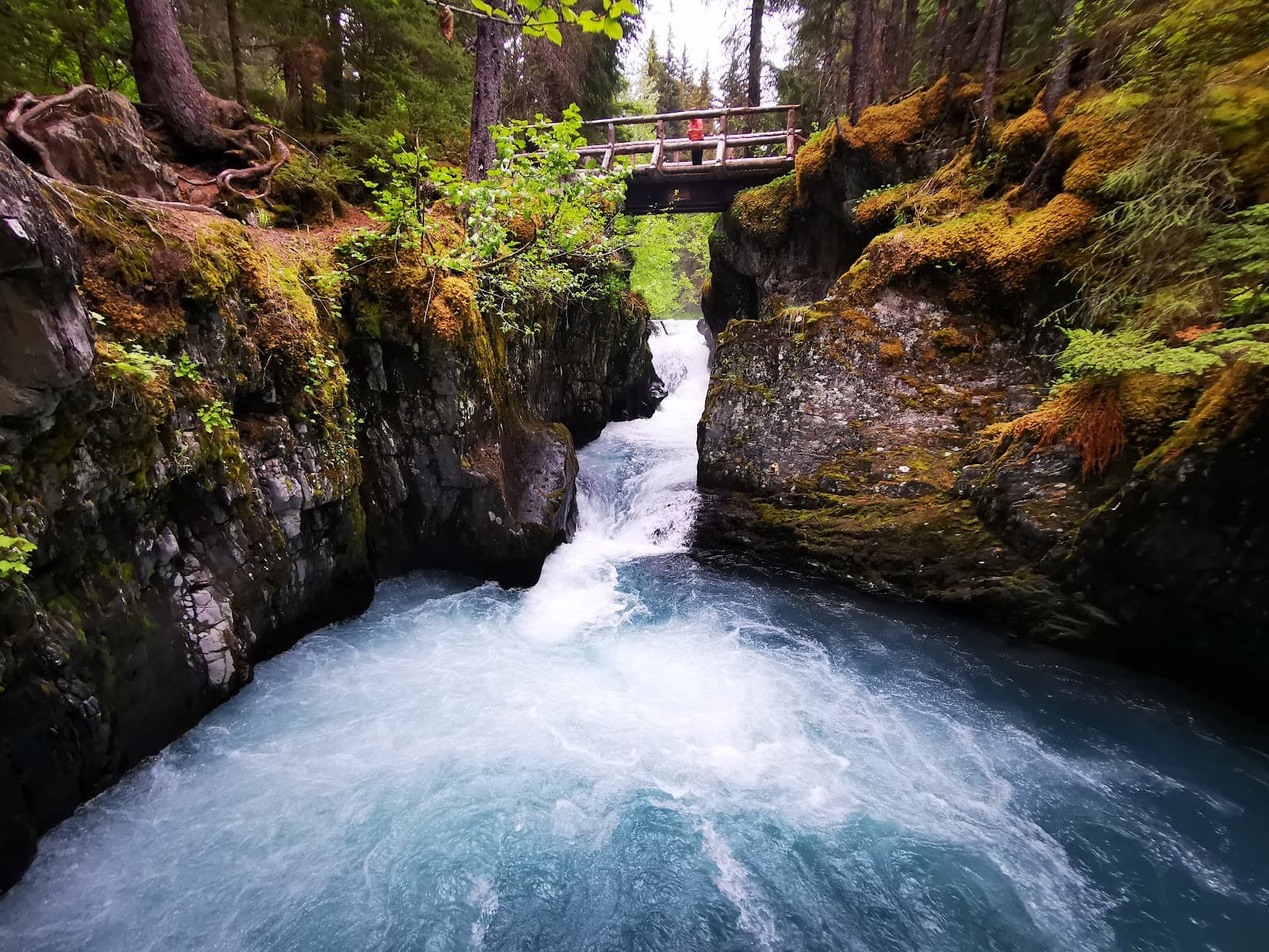 Blueberry Hill Trail Alyeska Upper Loop - Image 1