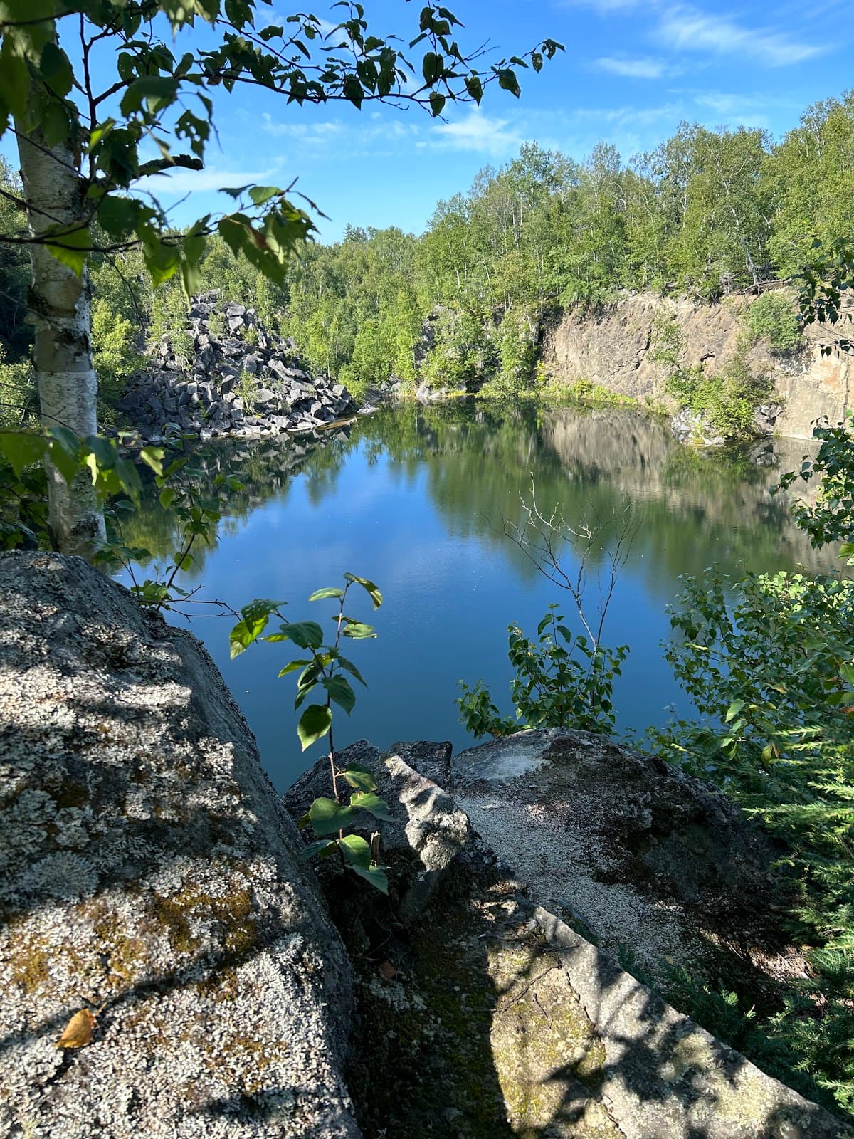 Barre Town Forest (Millstone Trails) - Image 1