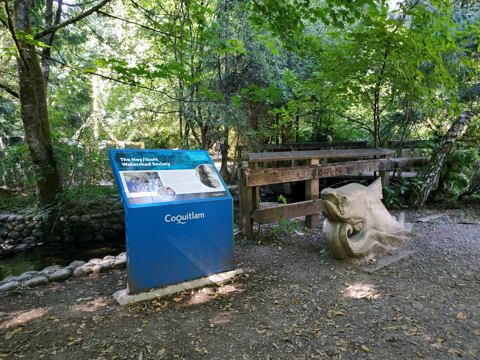 Peaceful Park Trails