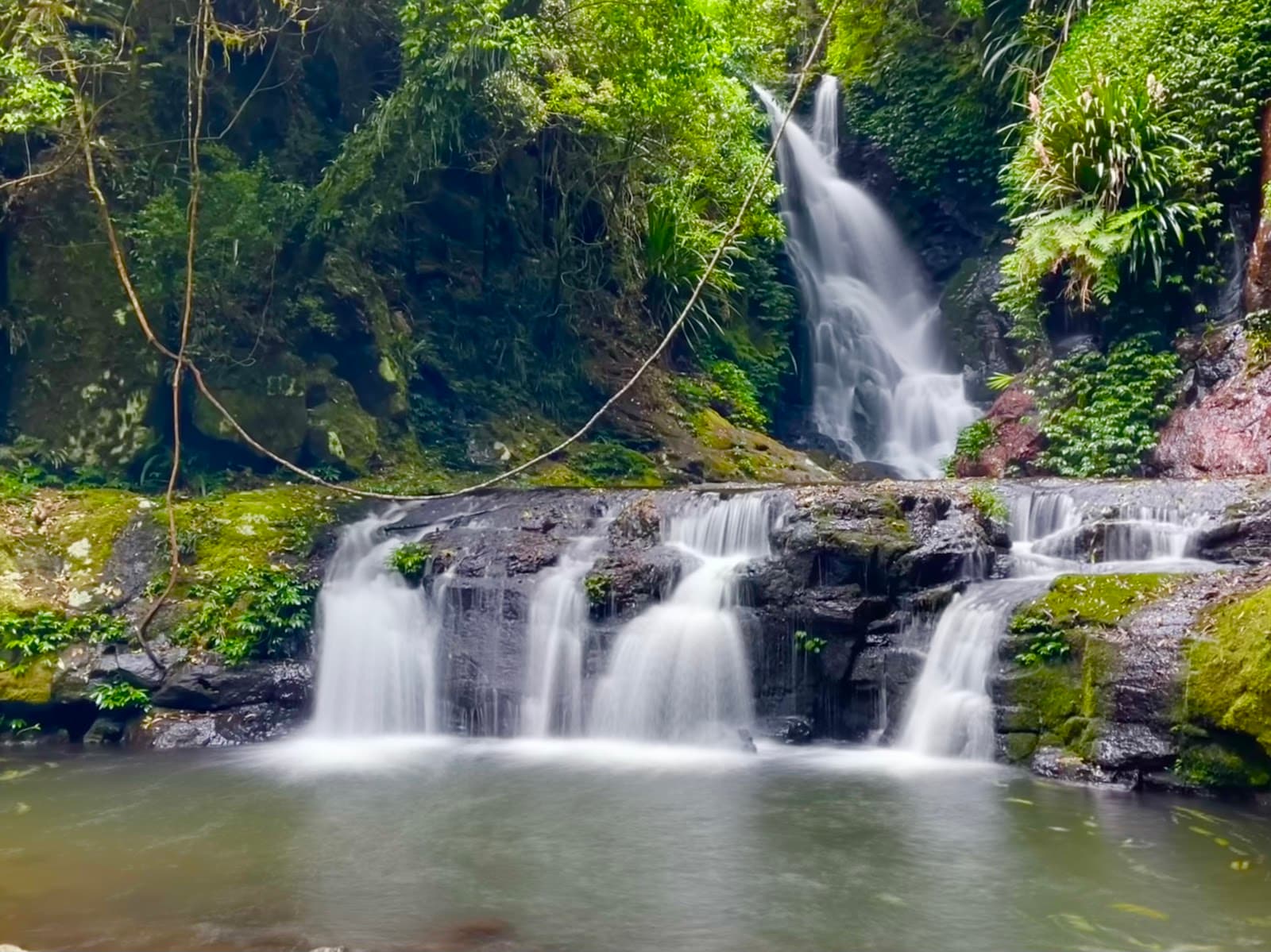 Elabana Falls Lamington National Park - Image 1