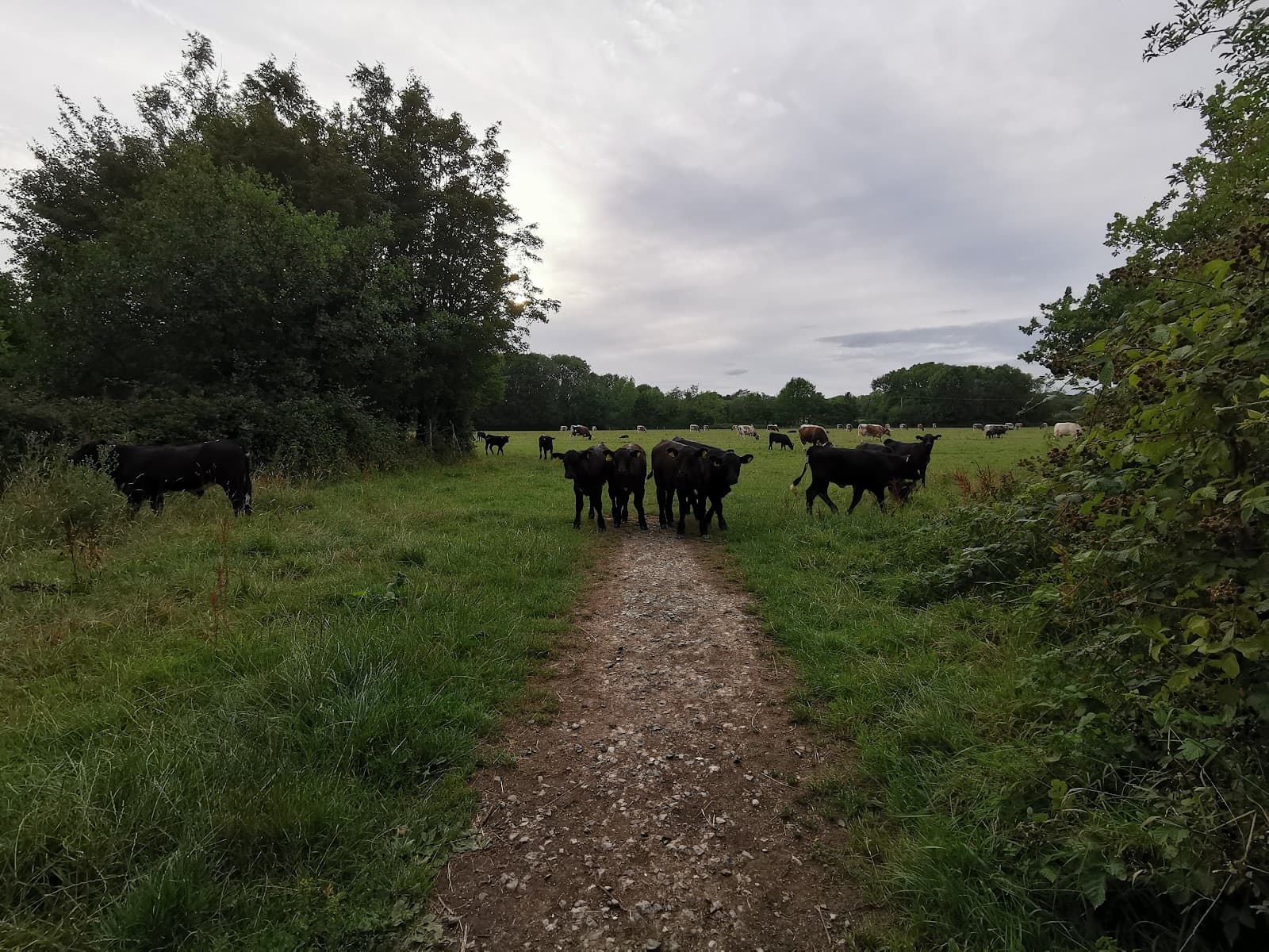 Ifield Village Conservation Area - Image 1