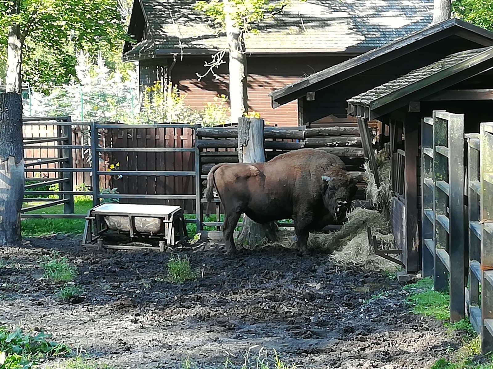 Park Konstytucji 3 Maja - Image 1