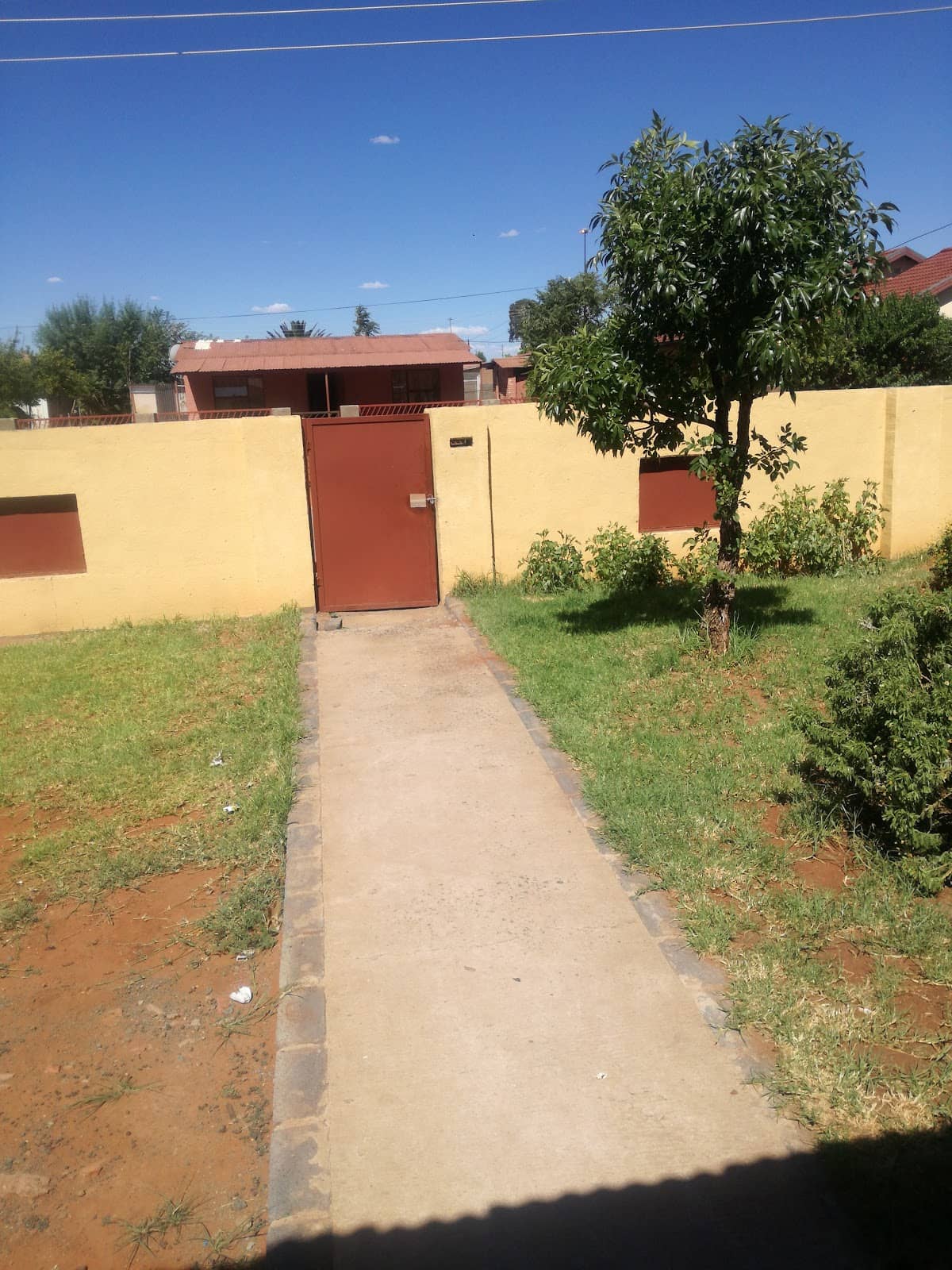 Community Art & Murals