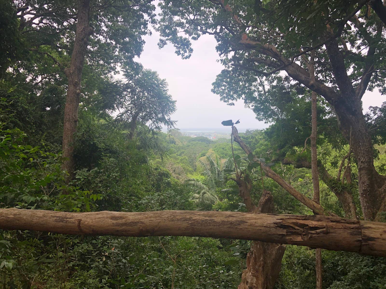 Panoramic Island Views