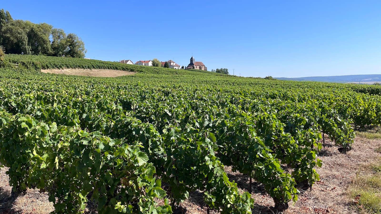 Panoramic Viewpoints