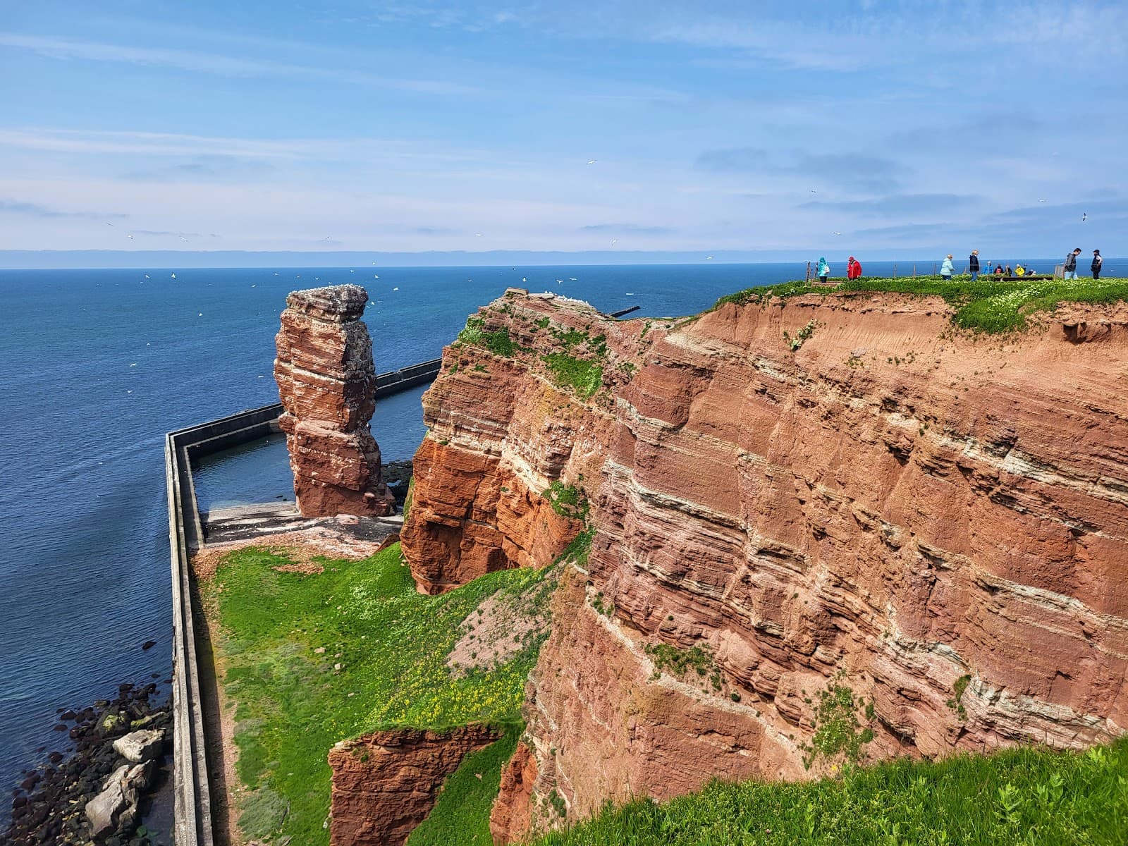 Lummenfelsen - Image 1