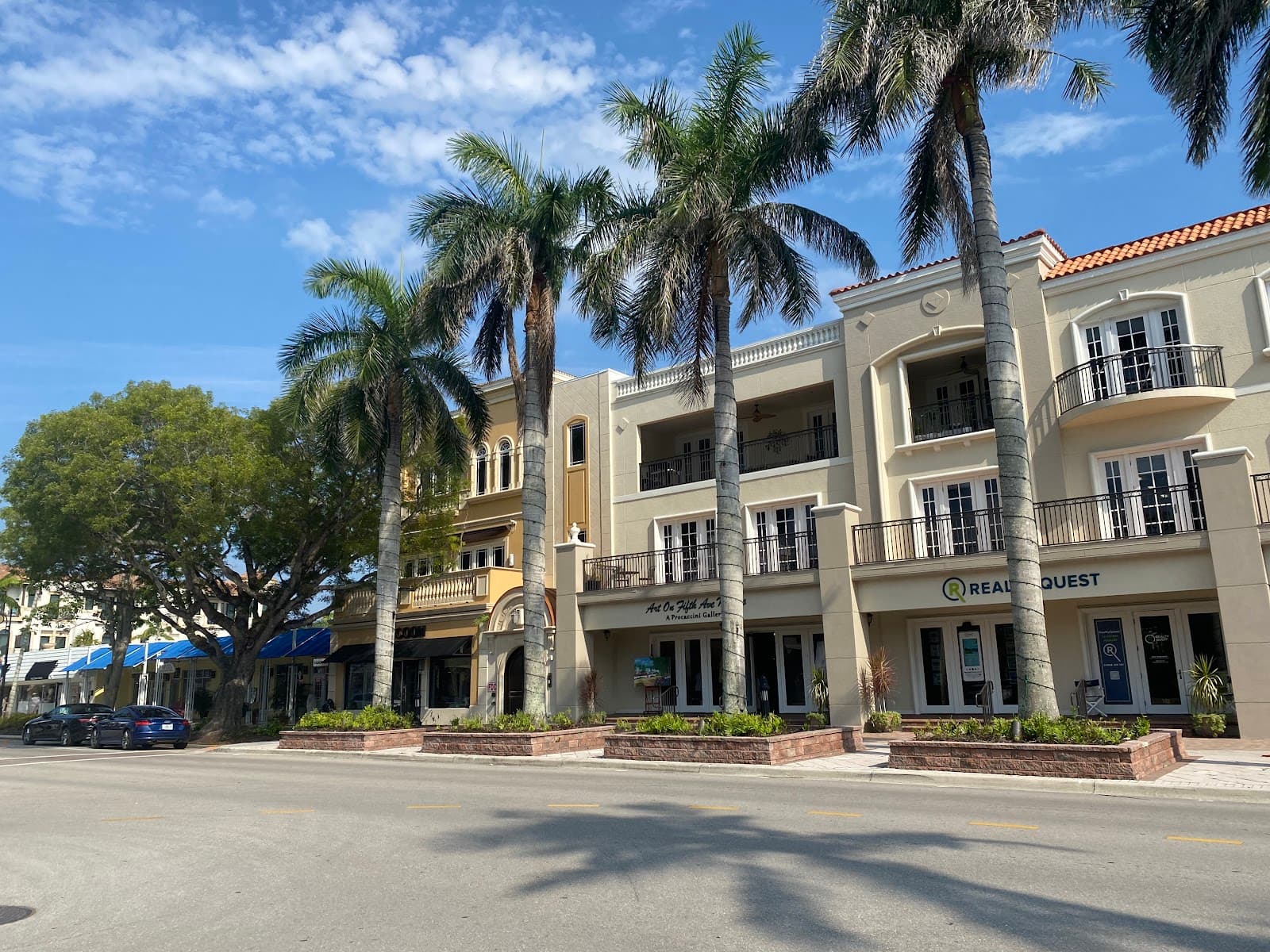 Fifth Avenue South - Image 1