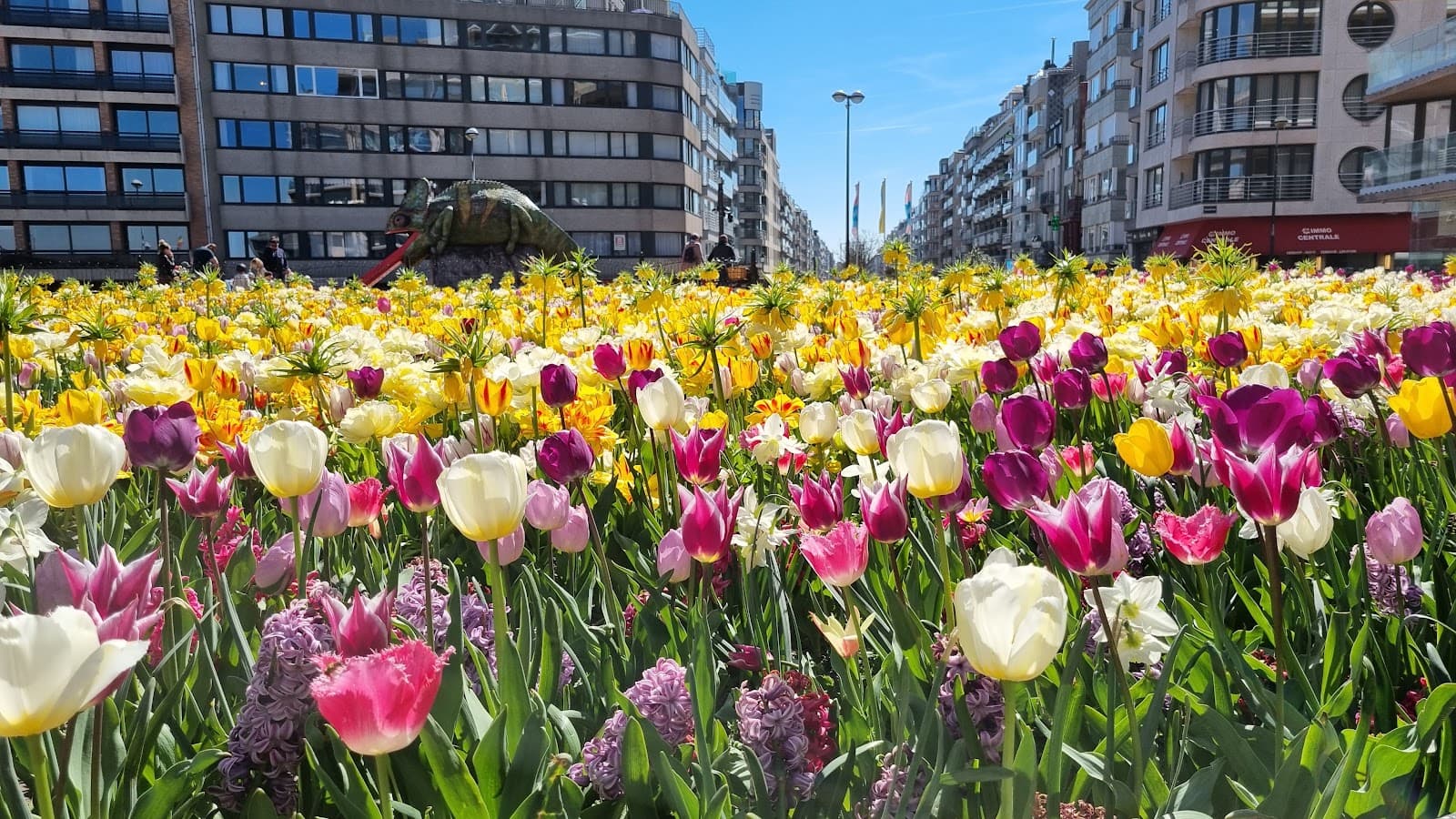 Van Bunnenplein - Image 1