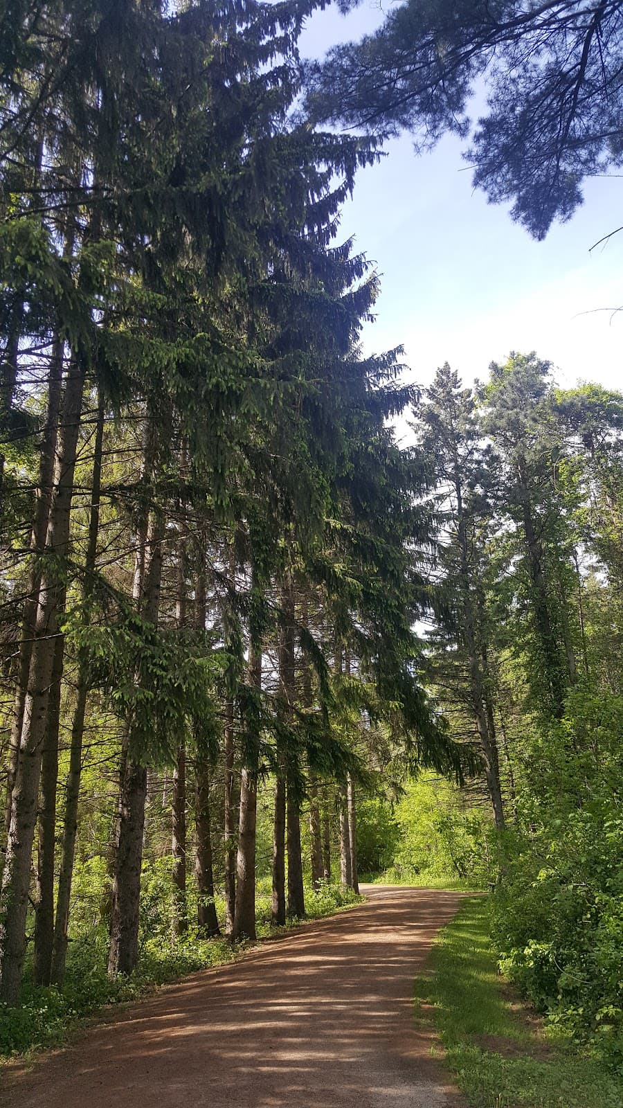Lyons Woods Forest Preserve - Image 1