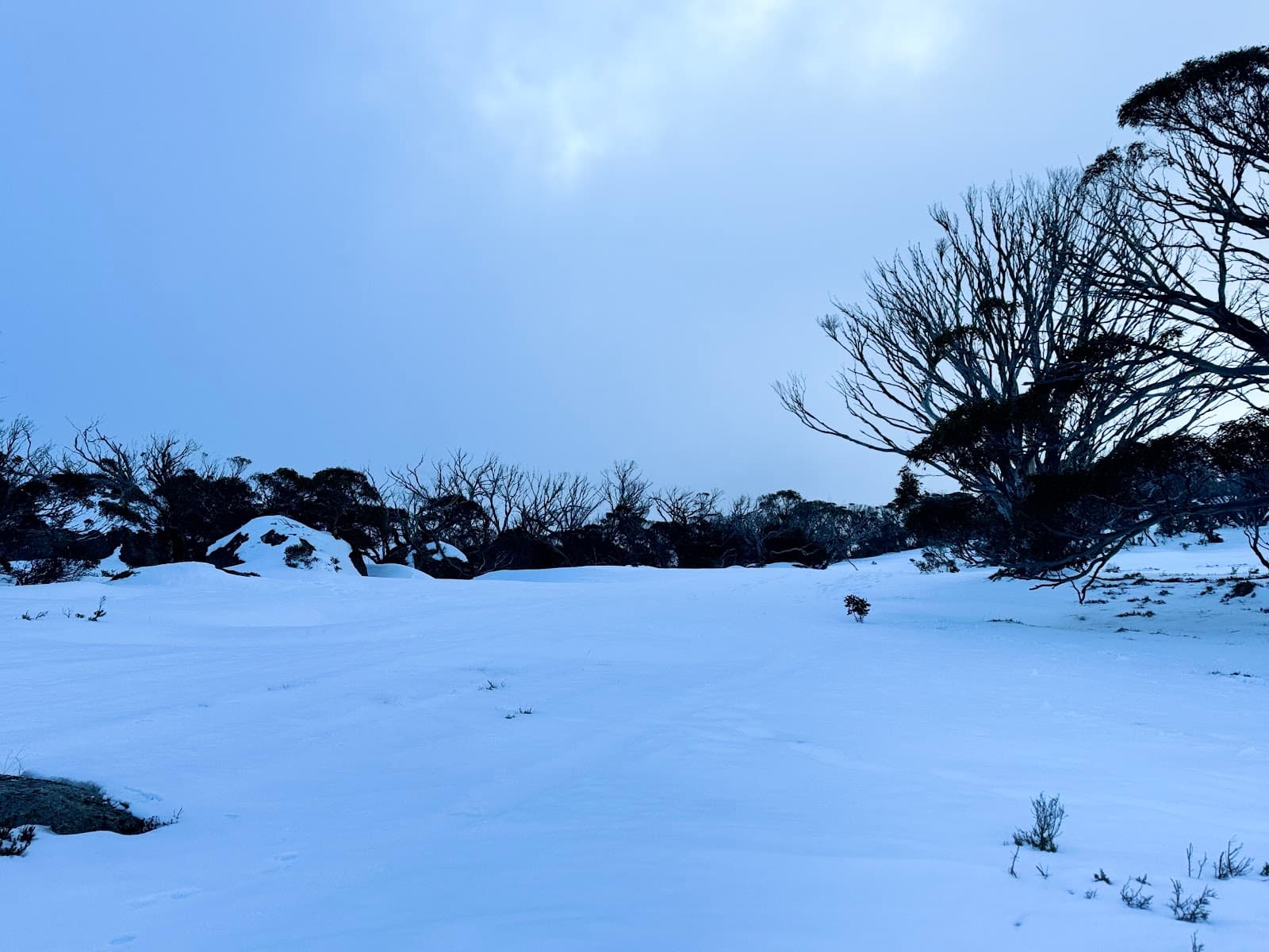 Alpine Way Scenic Drive - Image 1