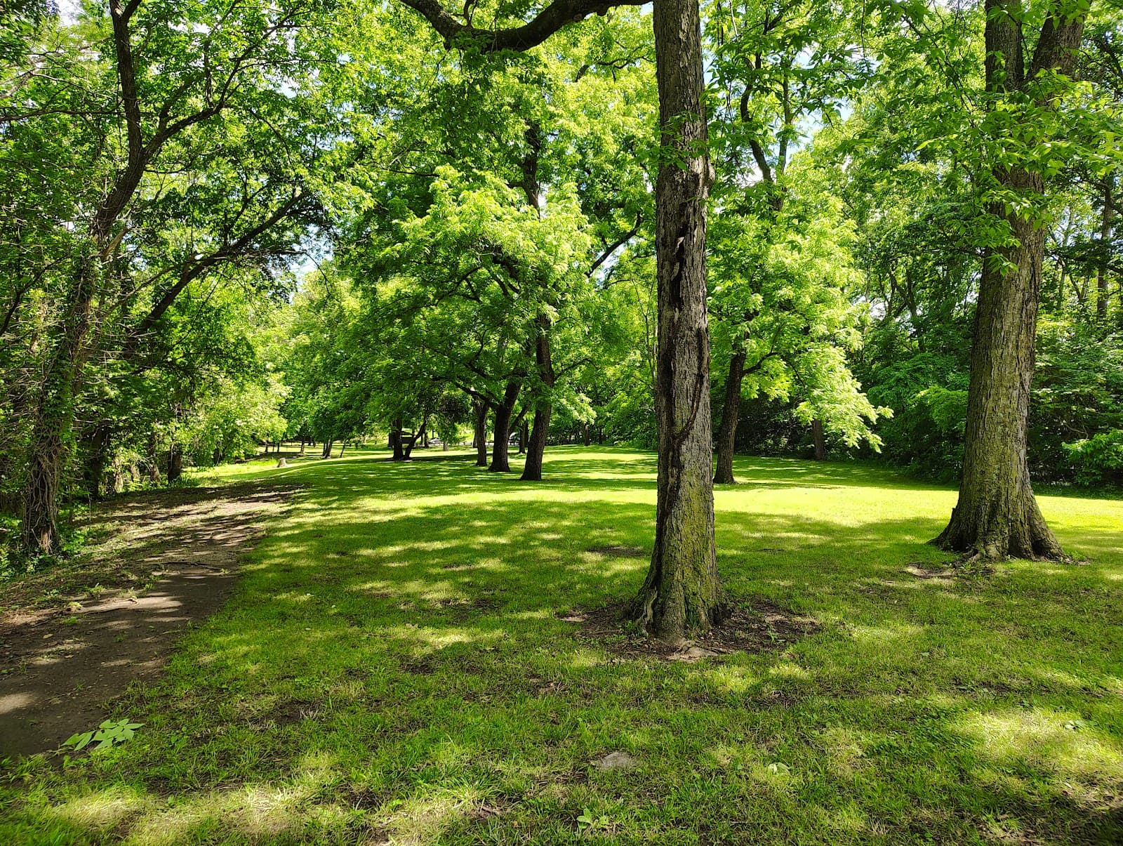 Battle of Carthage State Historic Site - Image 1