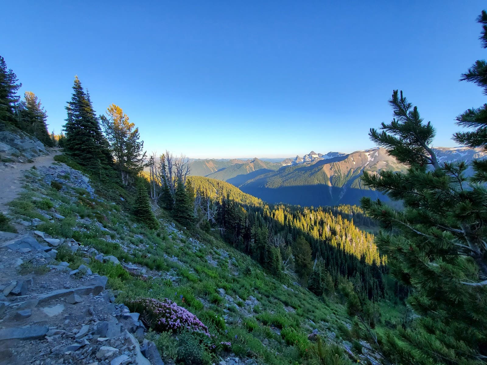 Sourdough Ridge Trail Mount Rainier National Park - Image 1