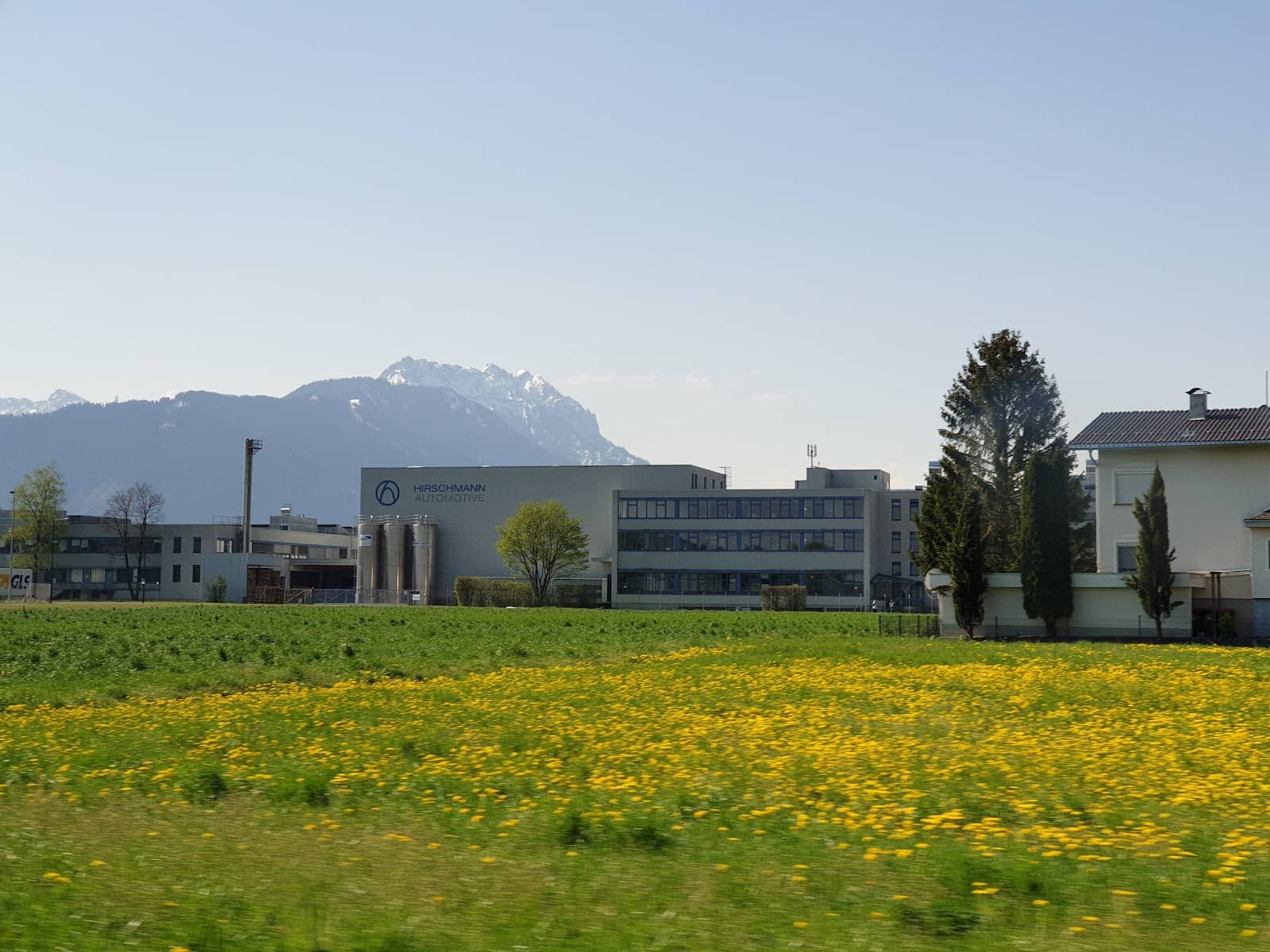 Local Parks and Green Spaces