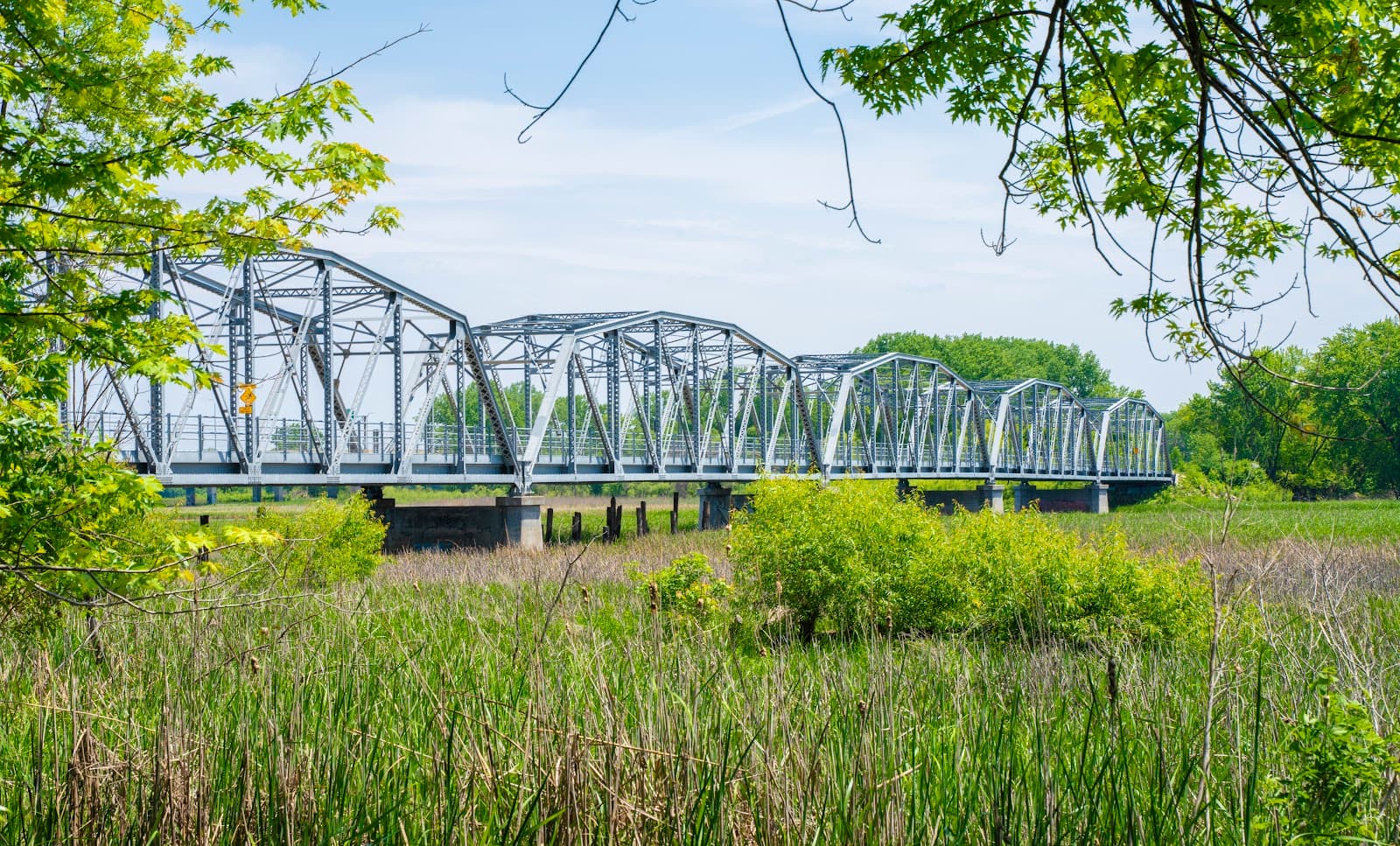 Old Cedar Avenue Bridge - Image 1