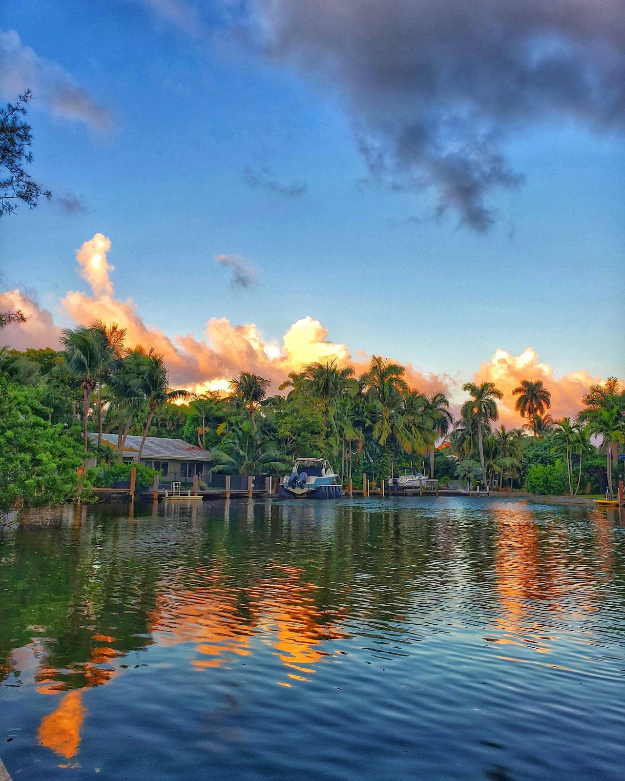 Victoria Park - Image 1