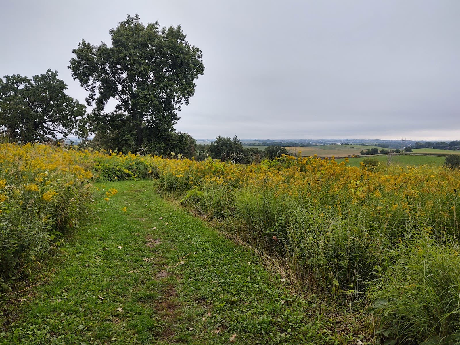 Frederick's Hill Overlook and Mounds - Image 1