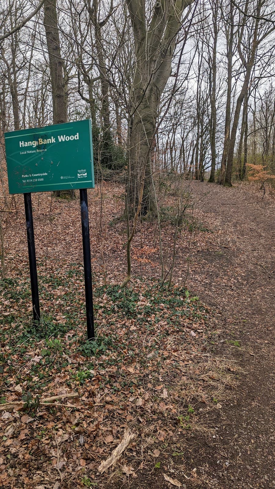 Sheffield Round Walk - Image 1