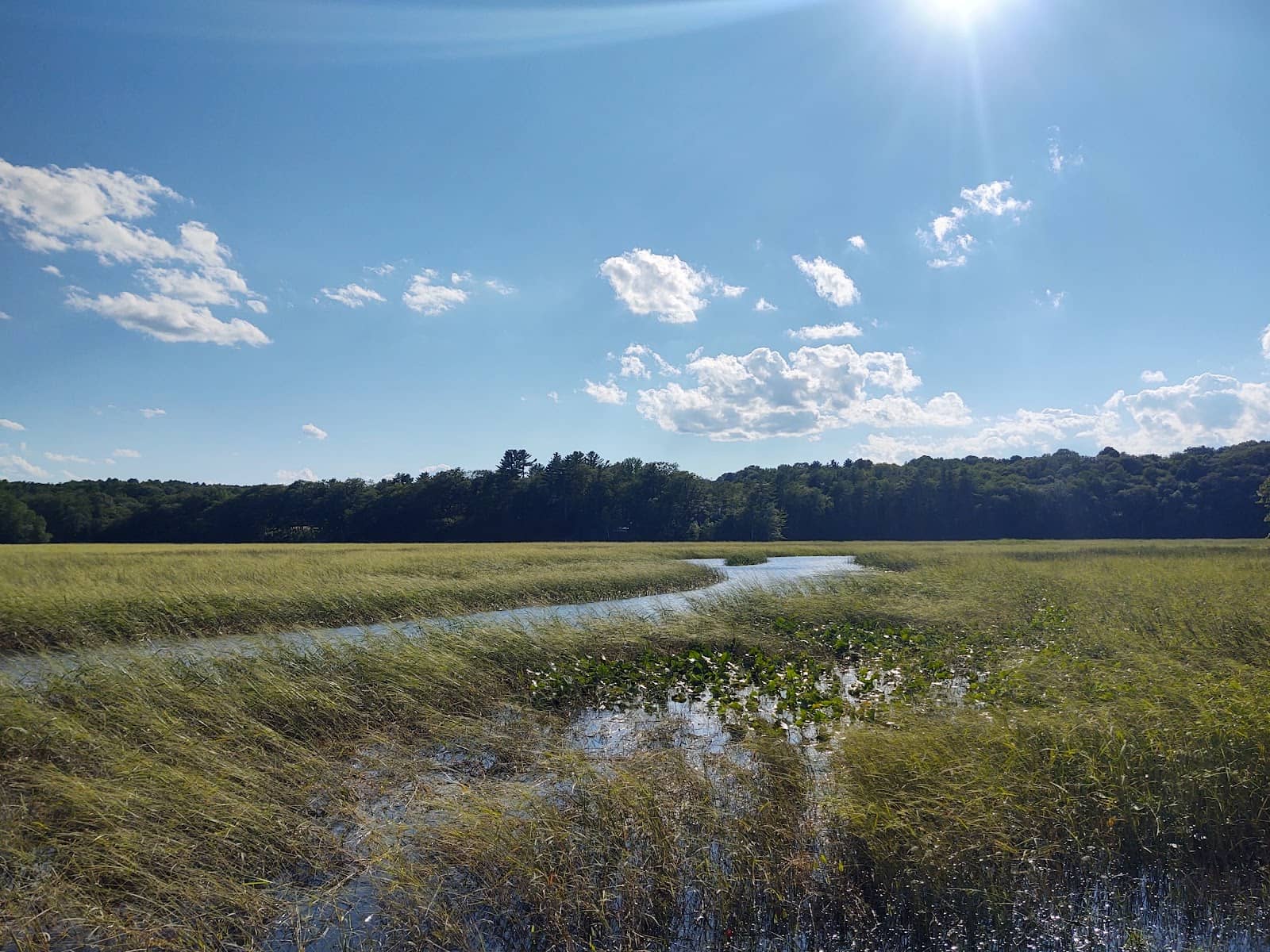 Fishing Hotspot