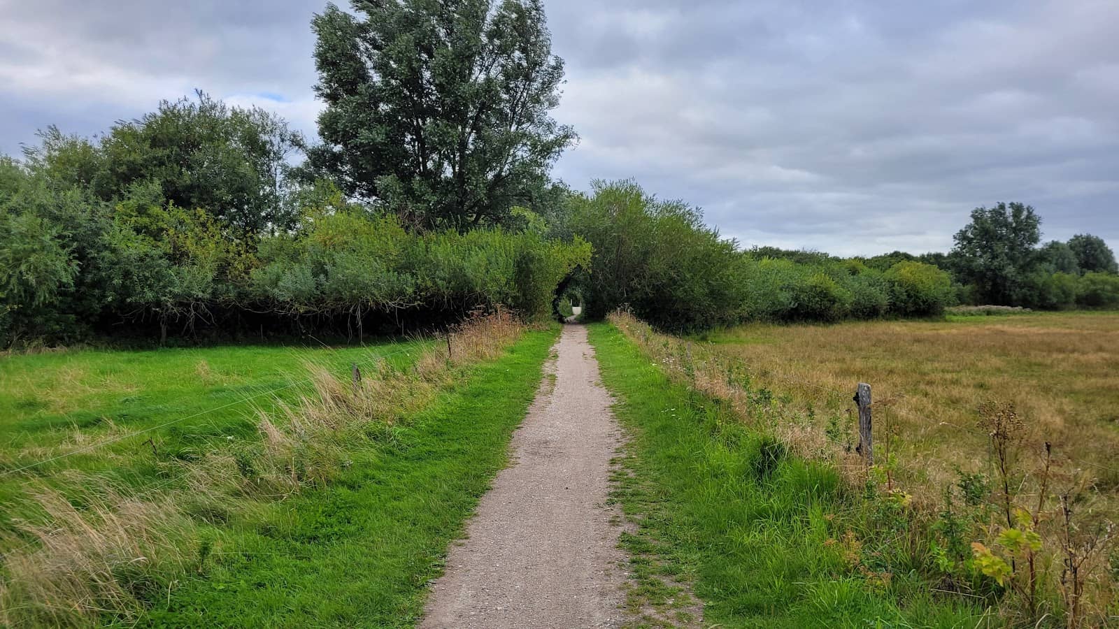 Lush Greenery and Trails