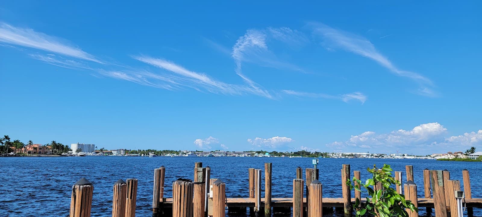 Naples Bay - Image 1