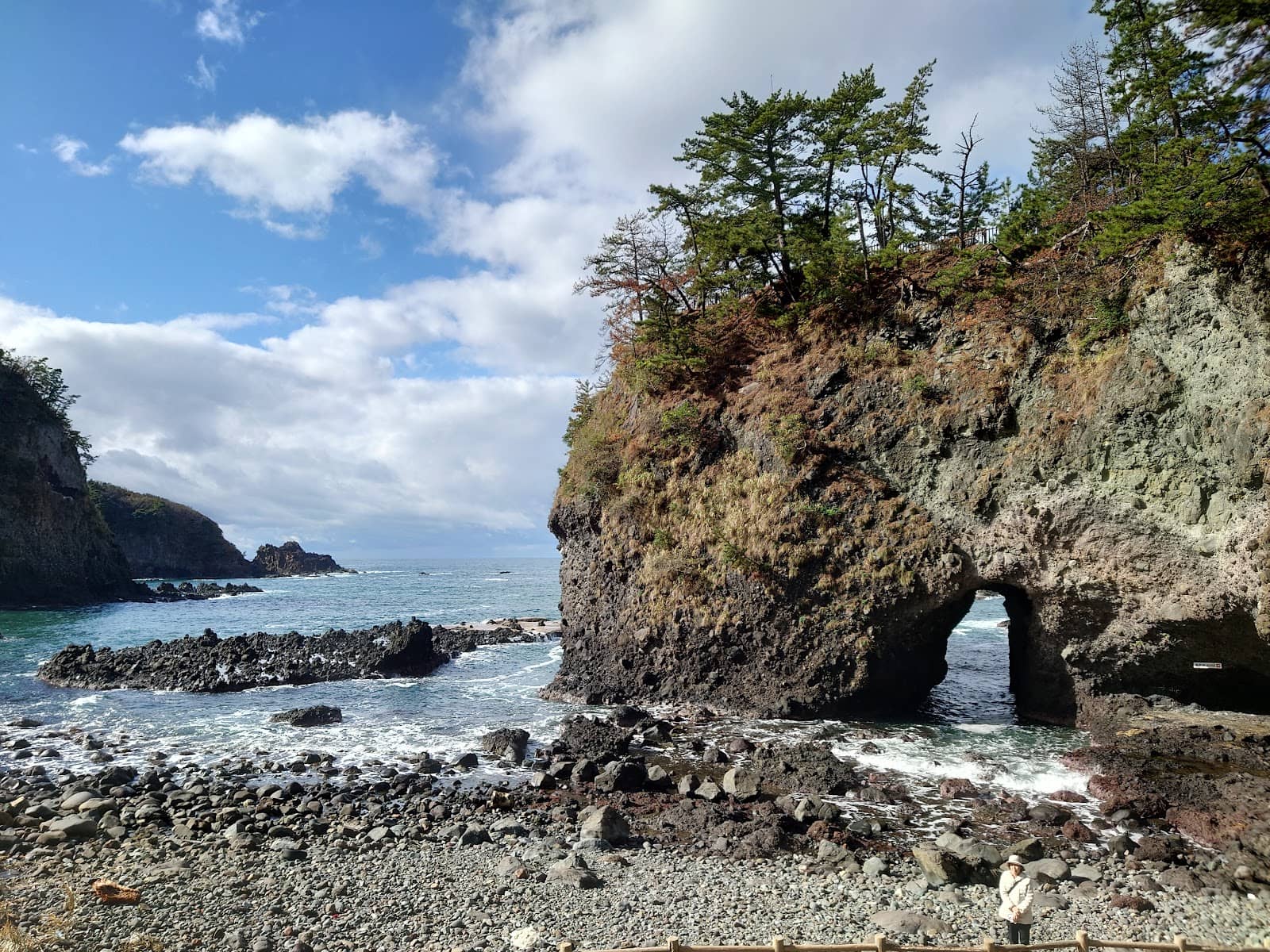 Scenic Walking Paths