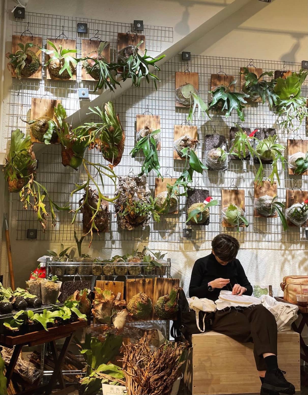 Renovated Old Building Charm