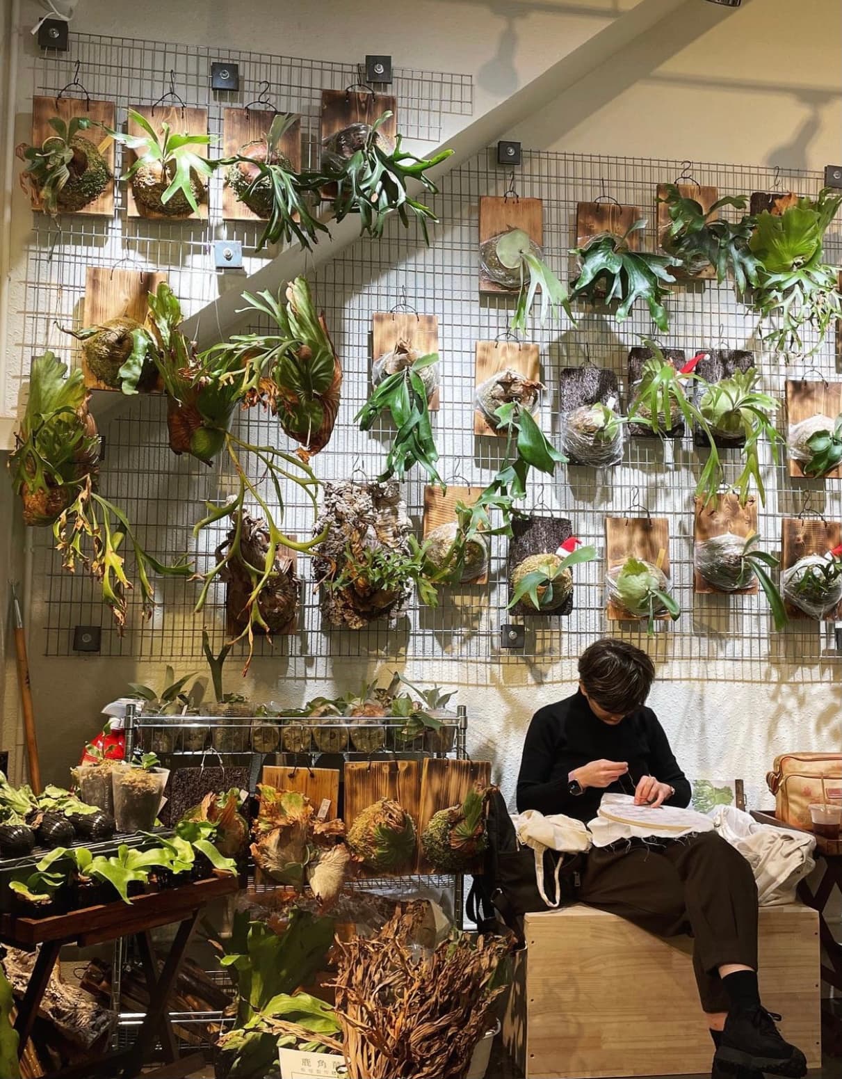 Oxy Cafe, Cheung Chau - Image 1