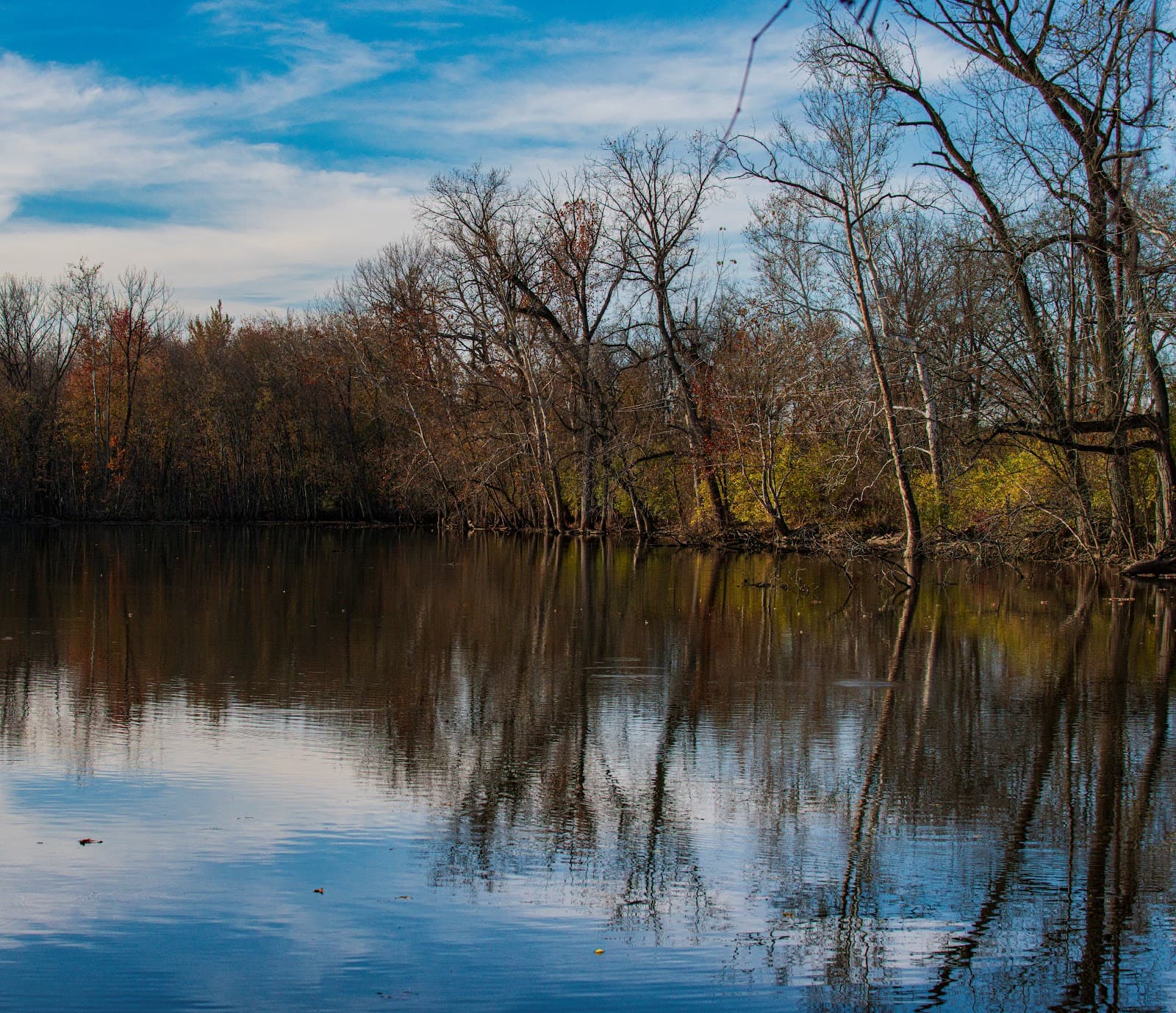 Gilmore MetroPark - Image 1
