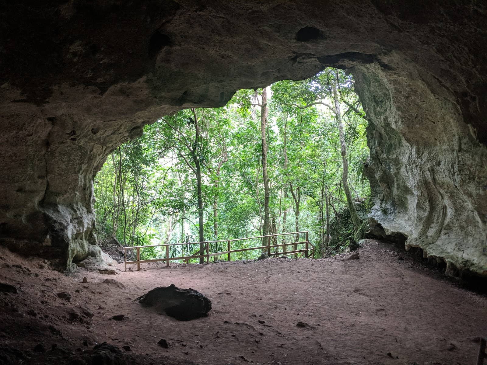 Tubing and Cave Exploration