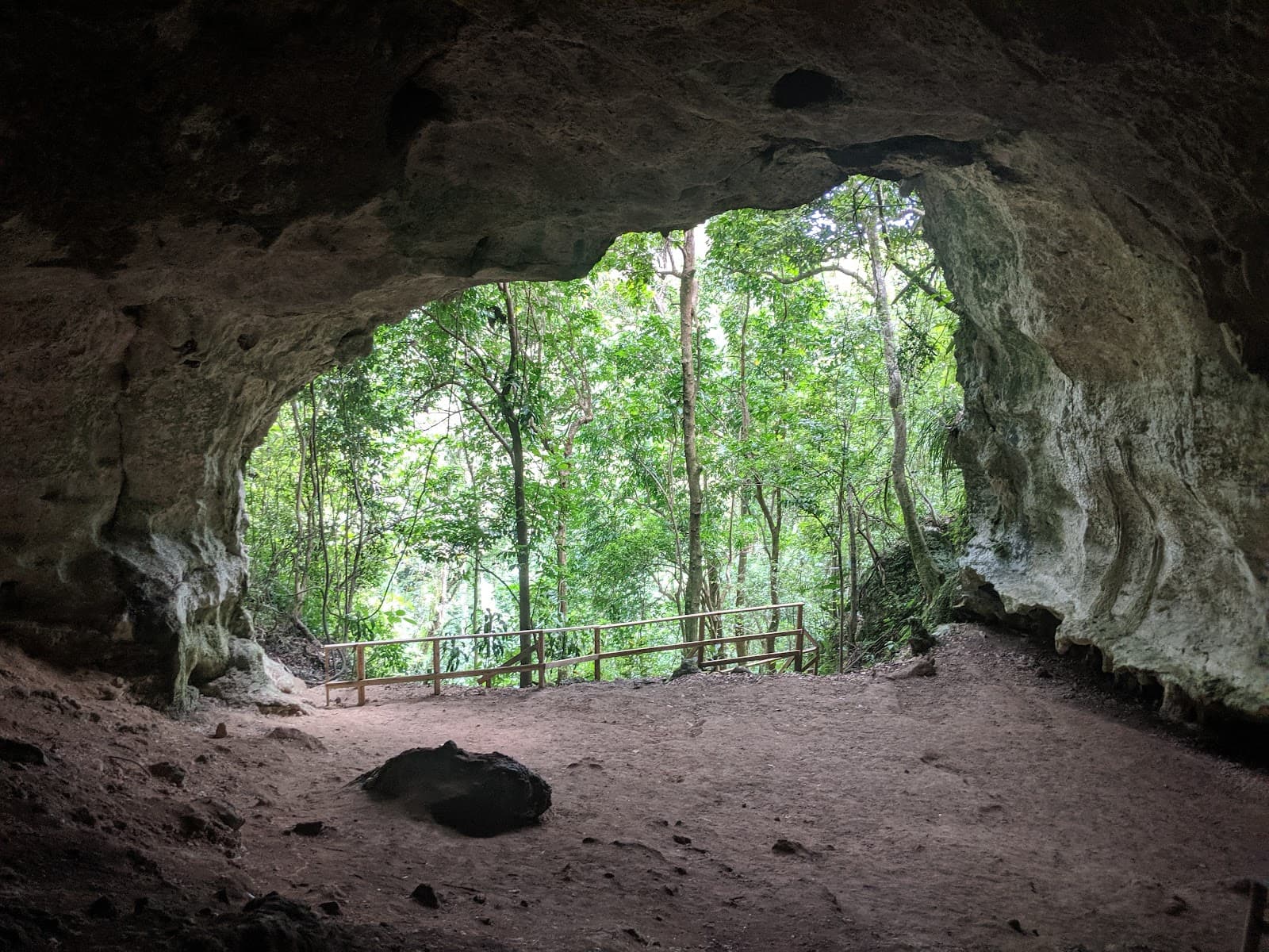 Río Abajo State Forest - Image 1