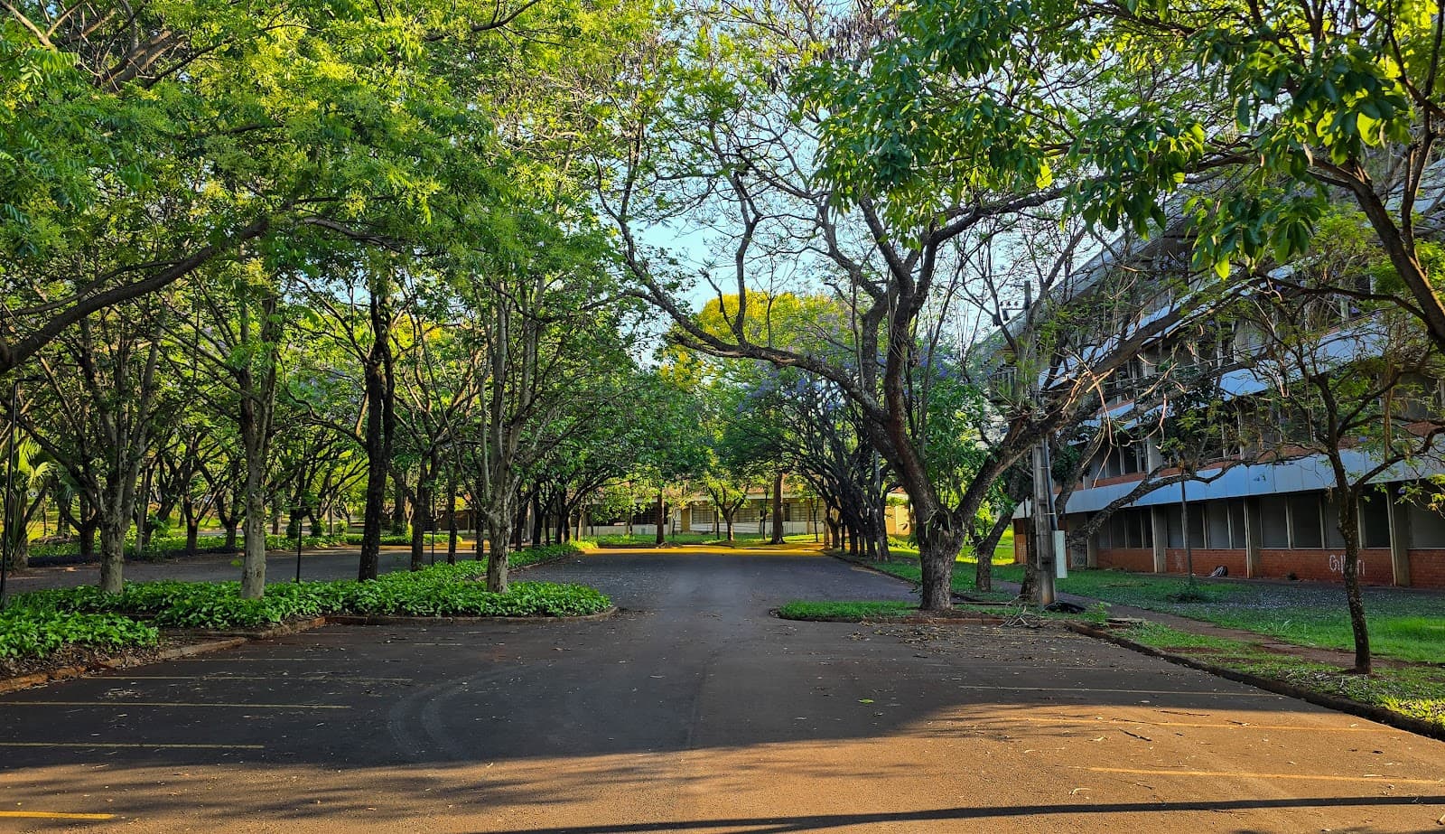 Universidade Estadual de Maringá UEM Campus - Image 1