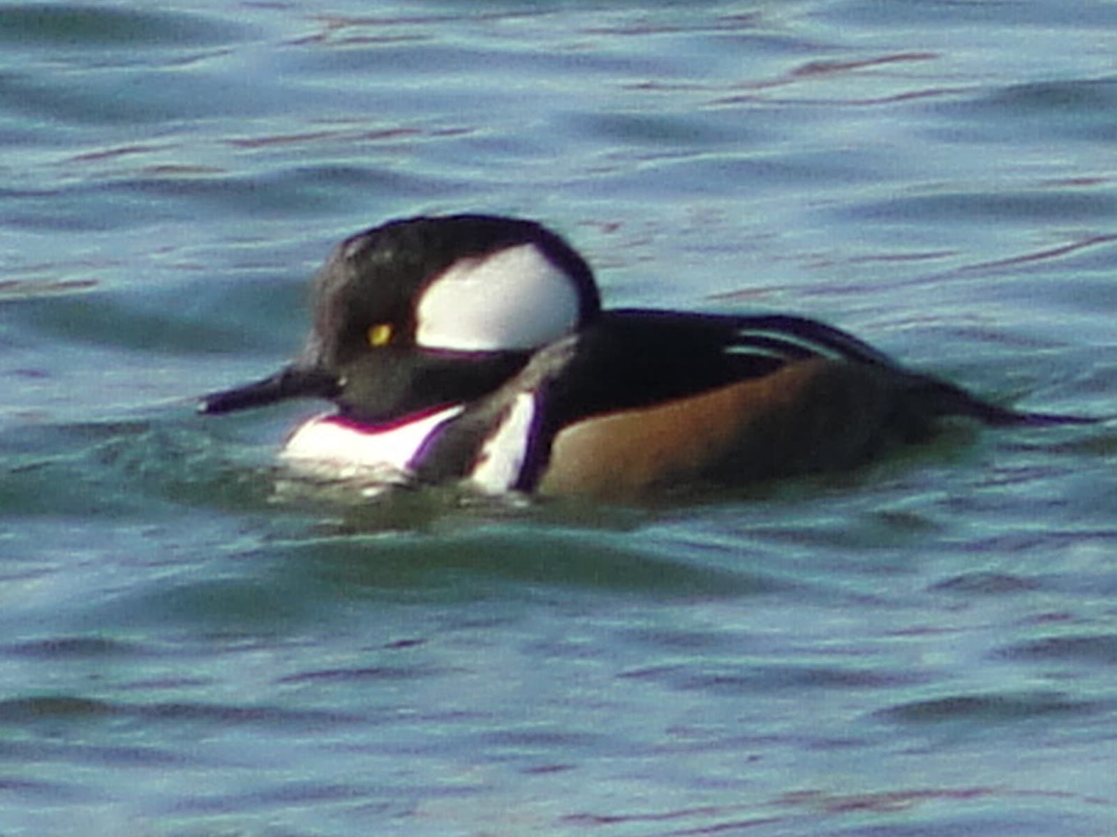 Silver Lake Park - Image 1