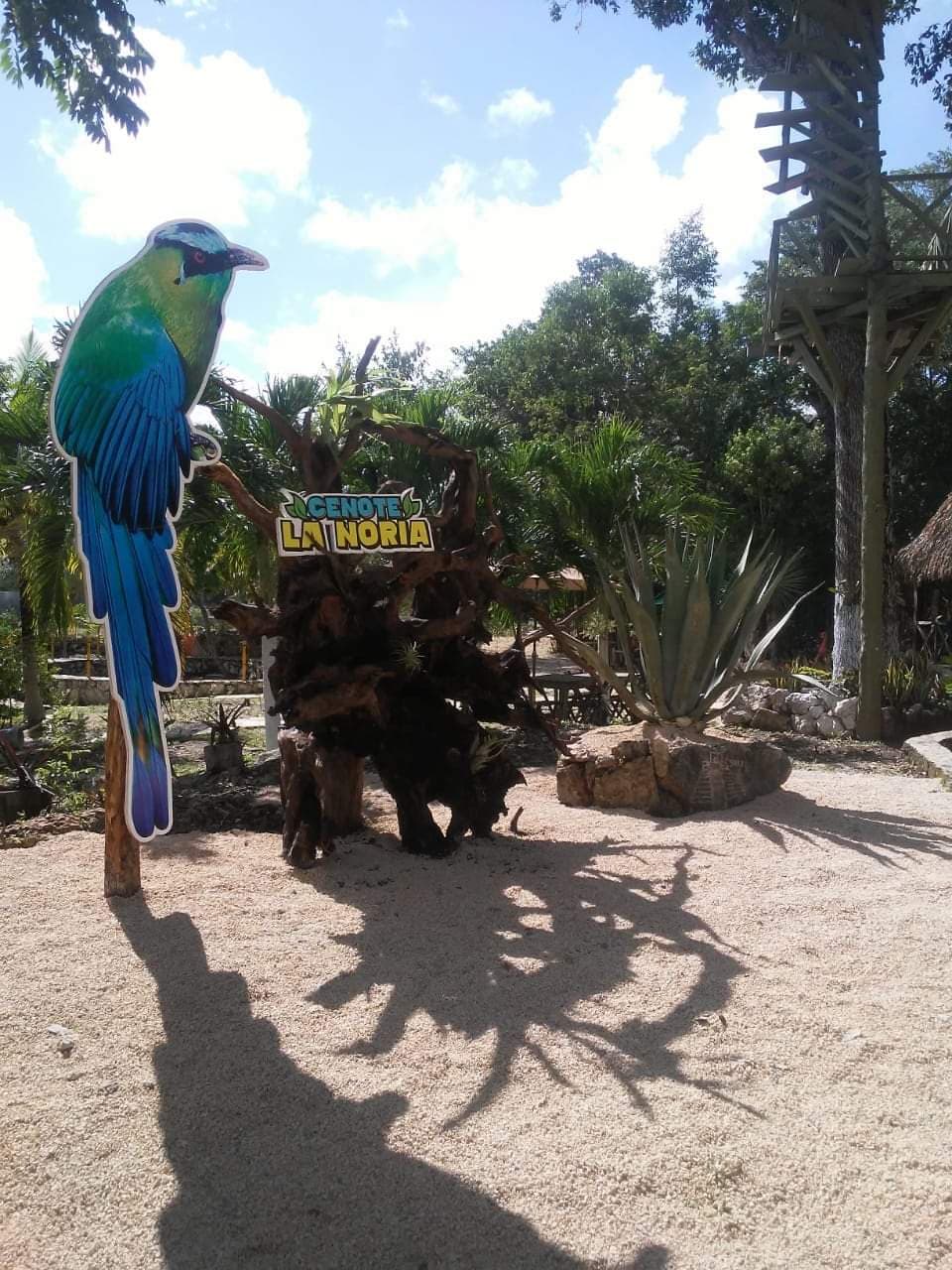 Cenote La Noria Eco Park, Puerto Morelos - Image 1