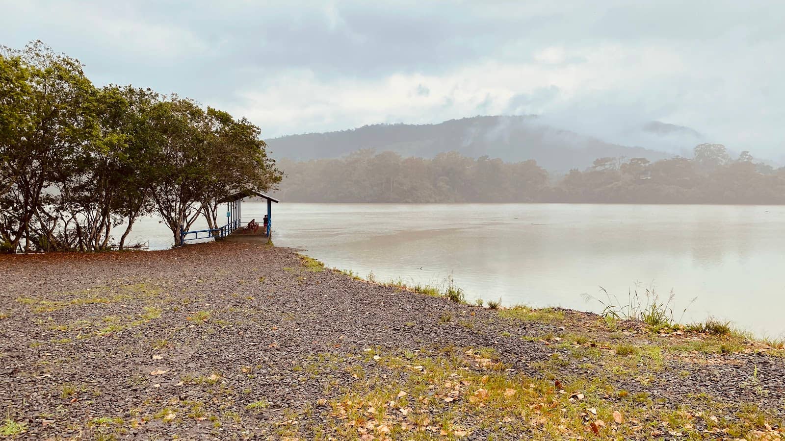 Camping Under the Stars