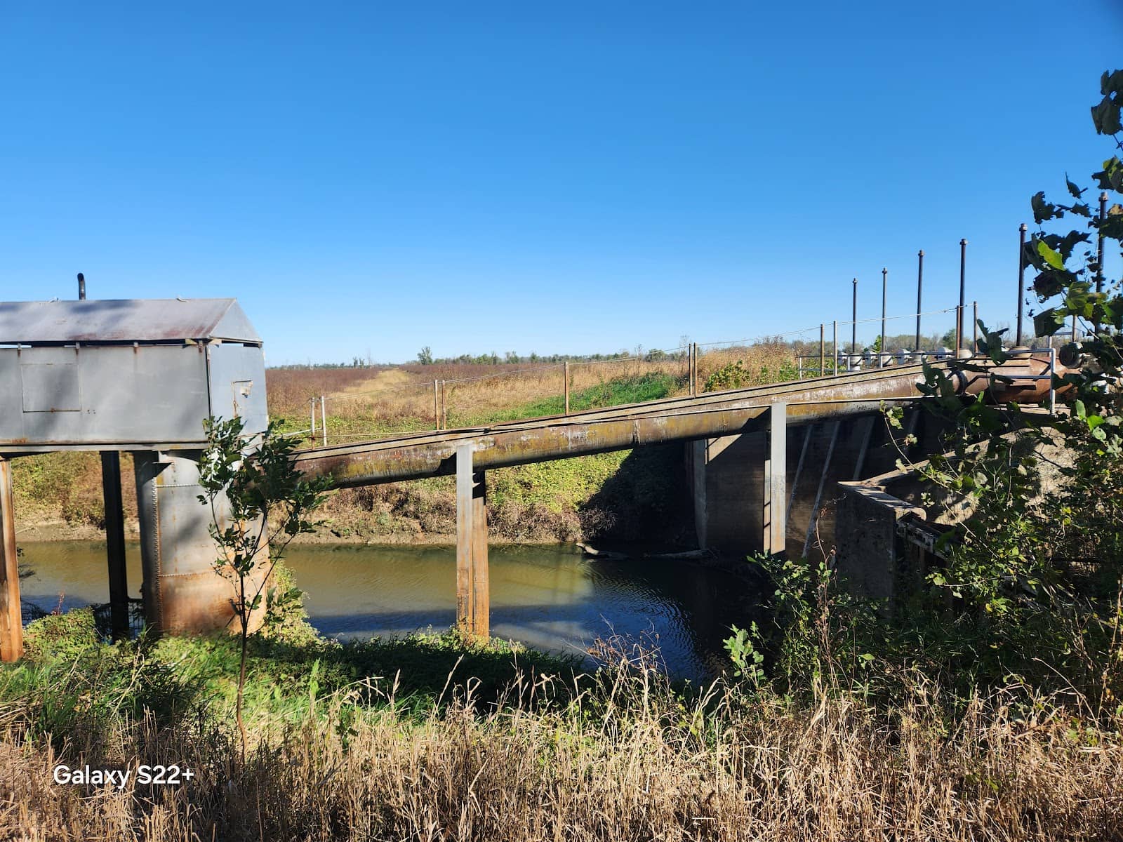 Shaded Forested Paths