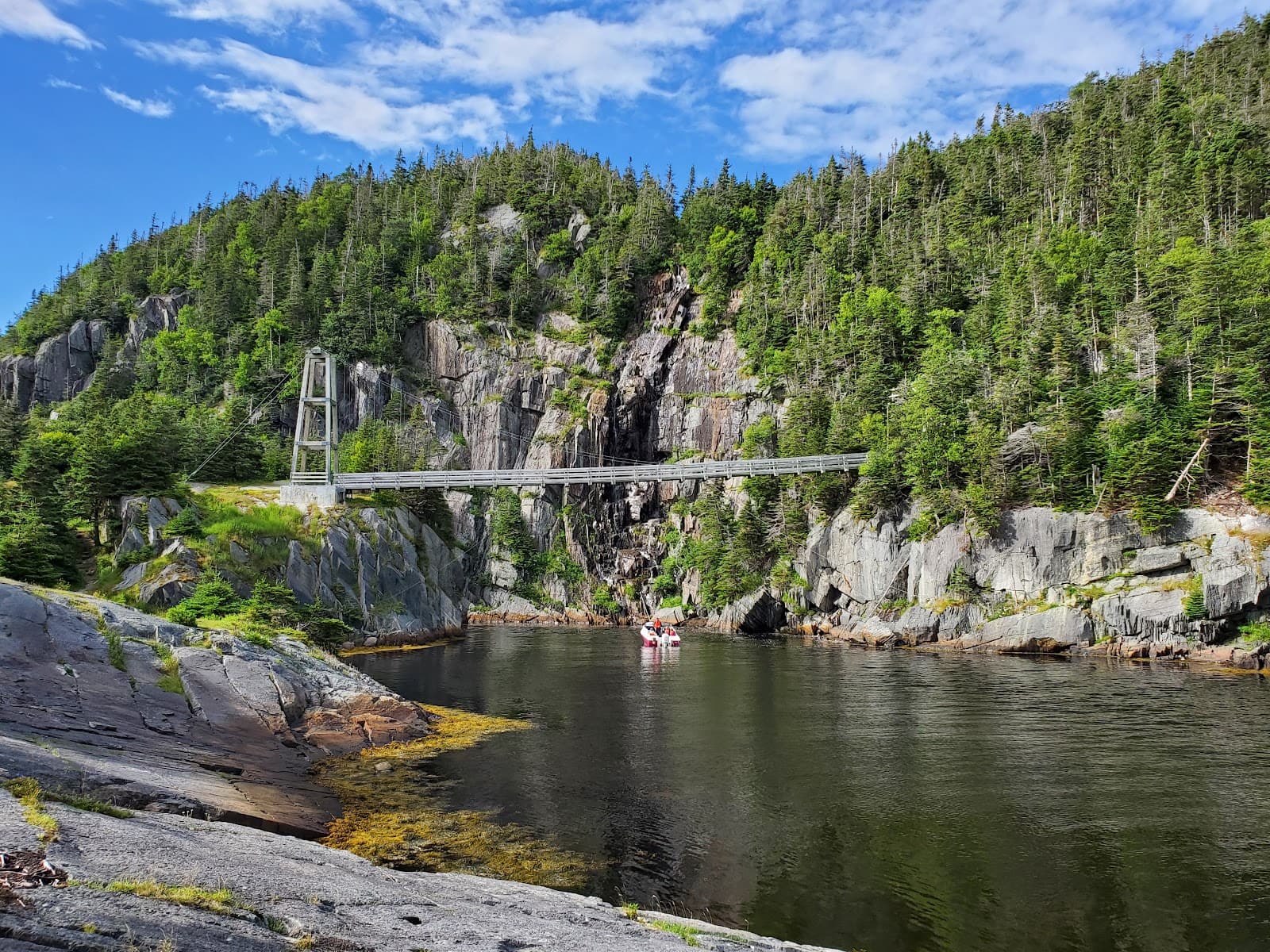 La Manche Provincial Park Suspension Bridge - Image 1