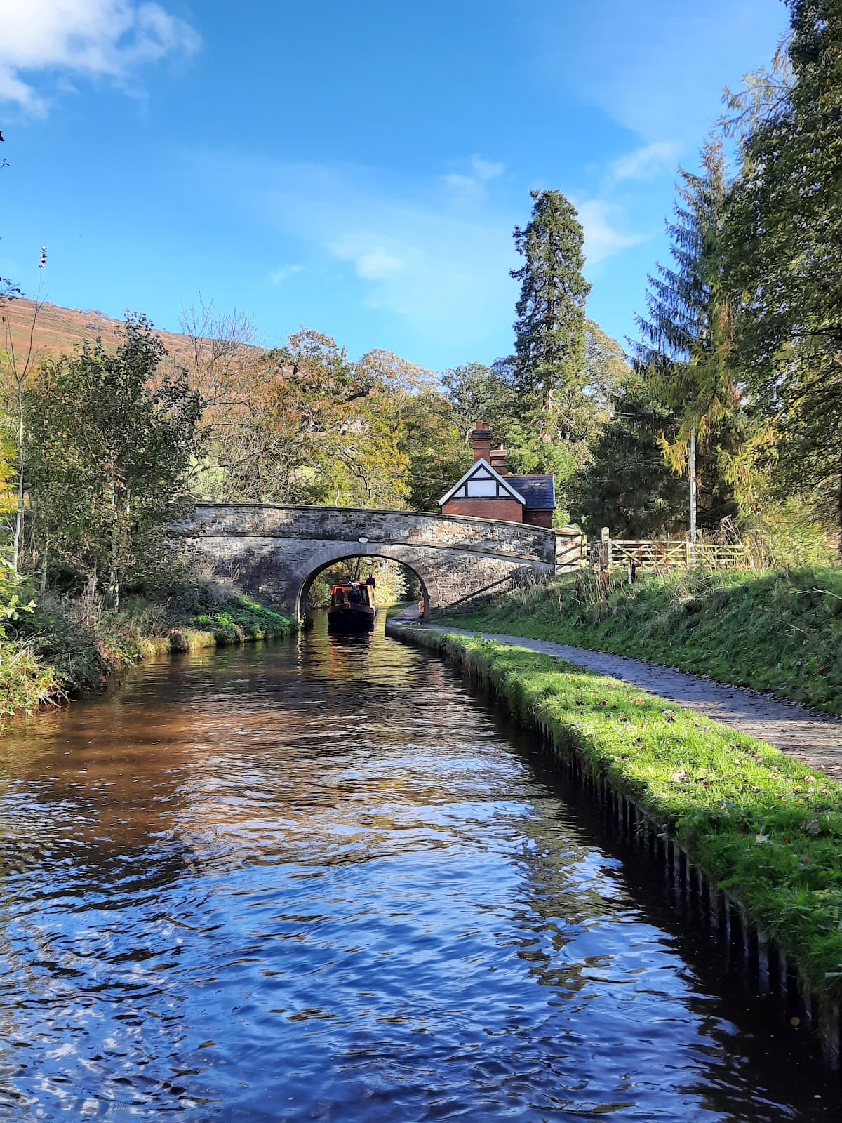 Wenffrwd Nature Reserve - Image 1